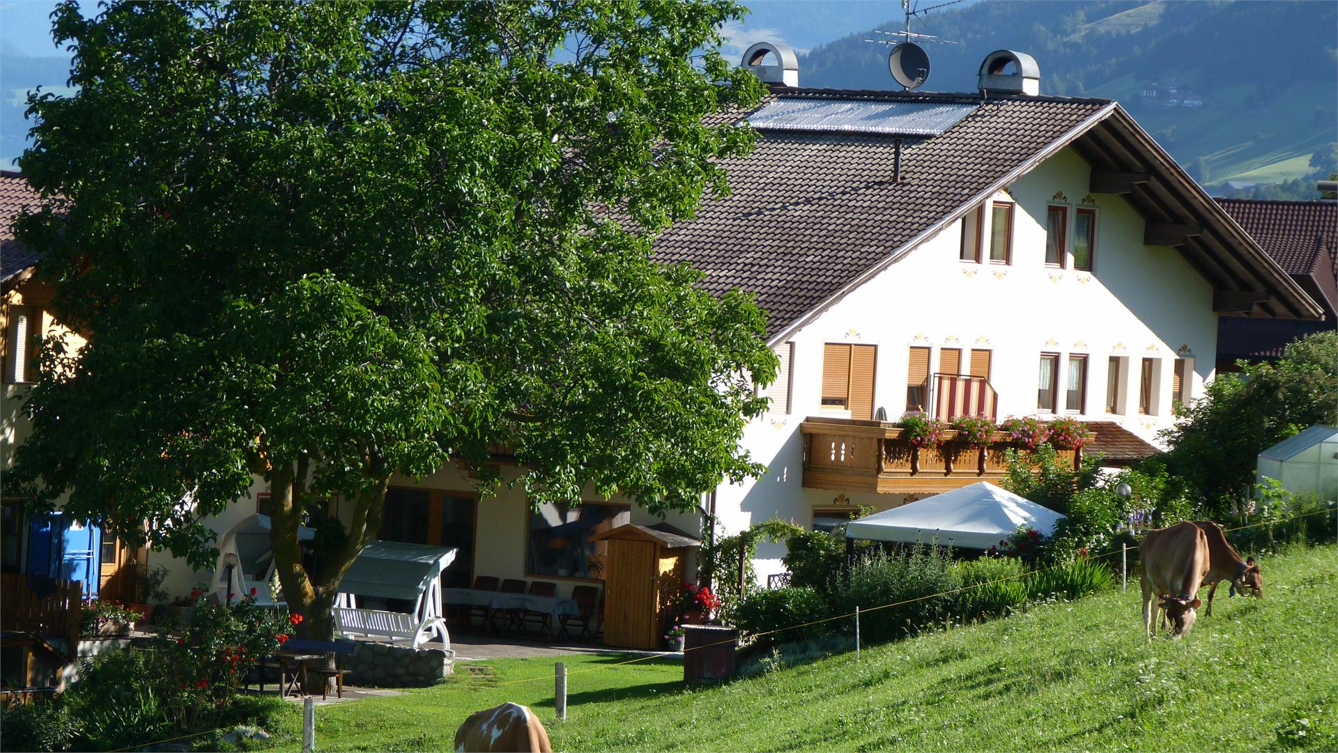 Pensione Summererhof Bressanone 3 suedtirol.info