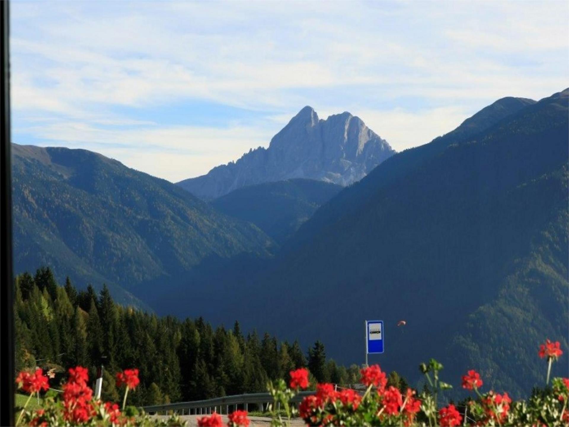 Pension Rastnerhof Luson 2 suedtirol.info