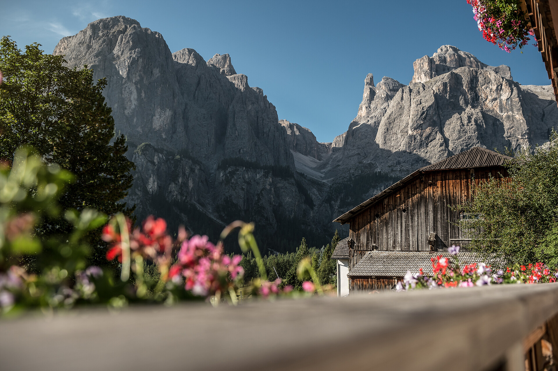 Pension Pcei