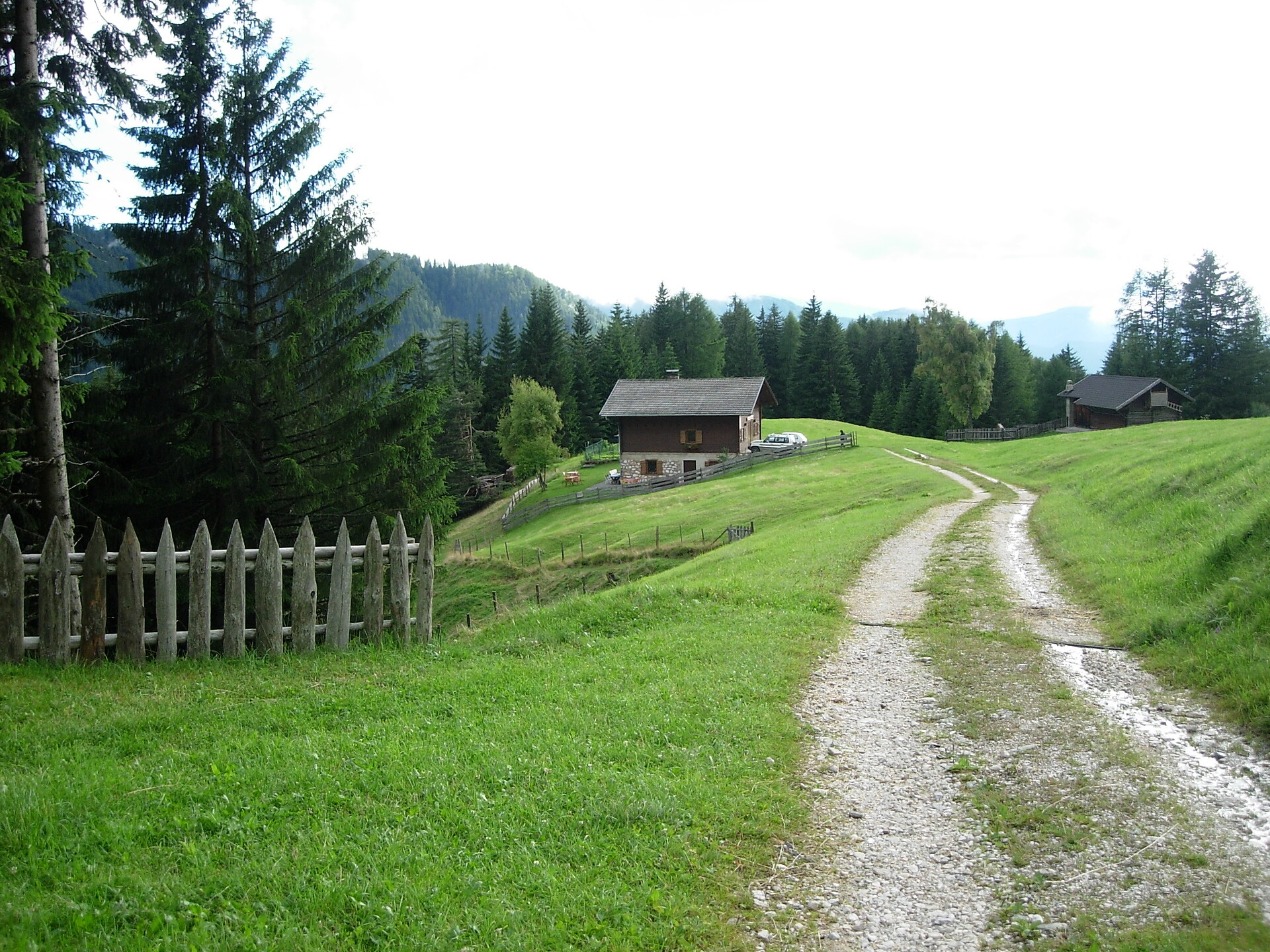 inmitten von Wald und Wiese