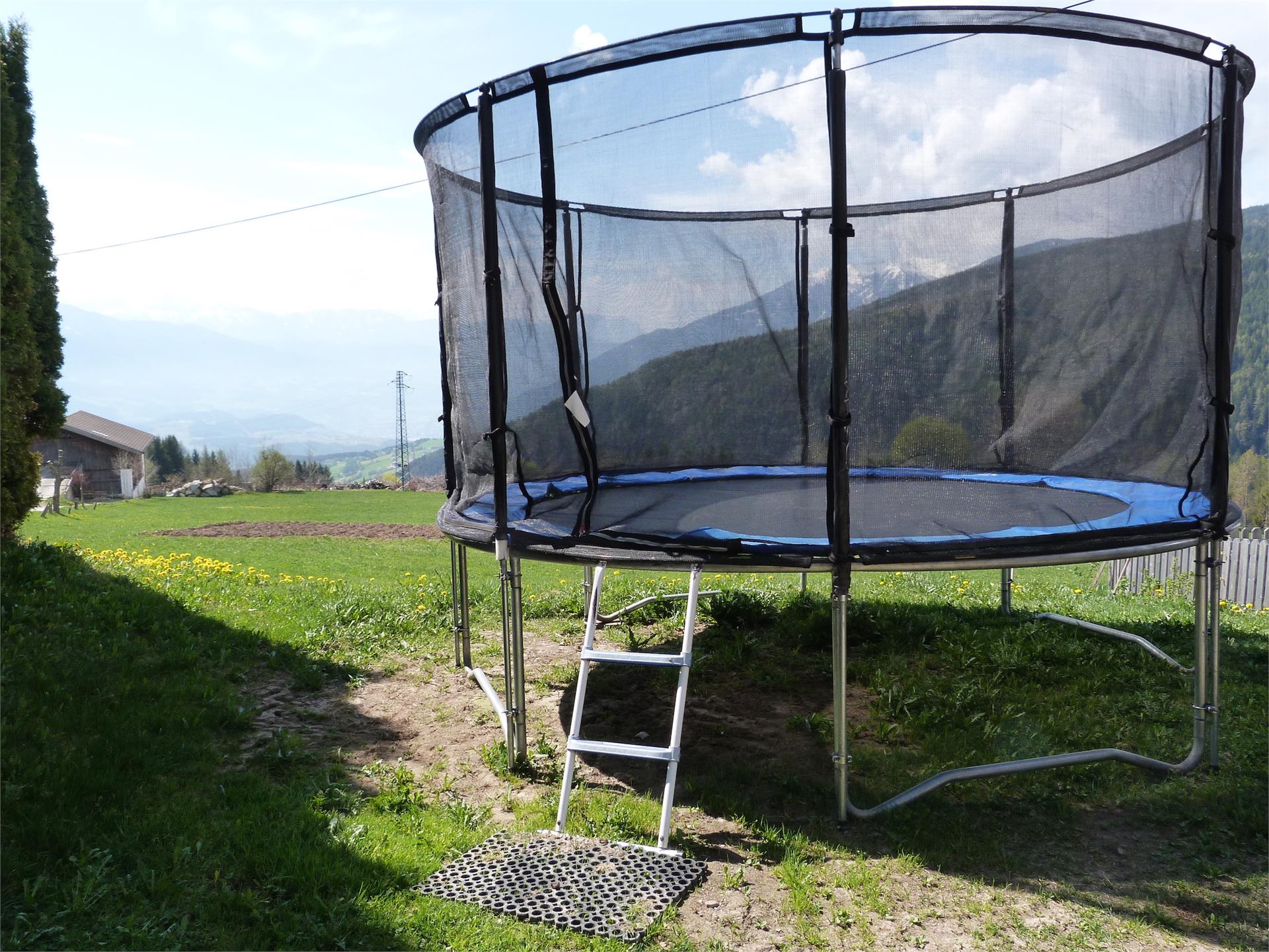 Pension Mühlsteigerhof Mühlbach 23 suedtirol.info