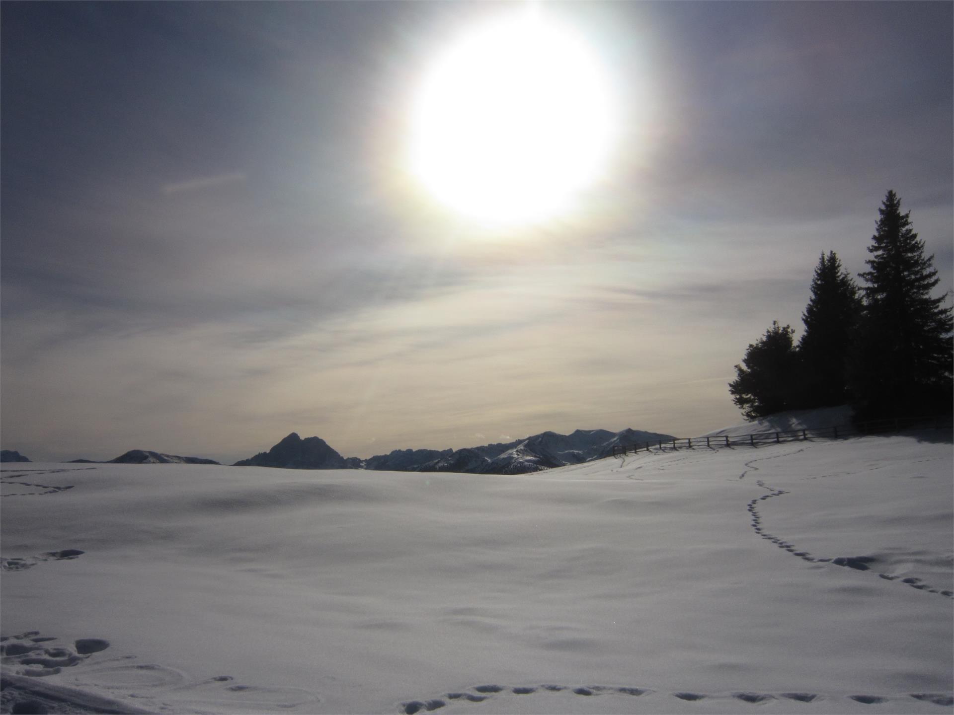 Privatzimmer Kaufmannhof Mühlbach 8 suedtirol.info