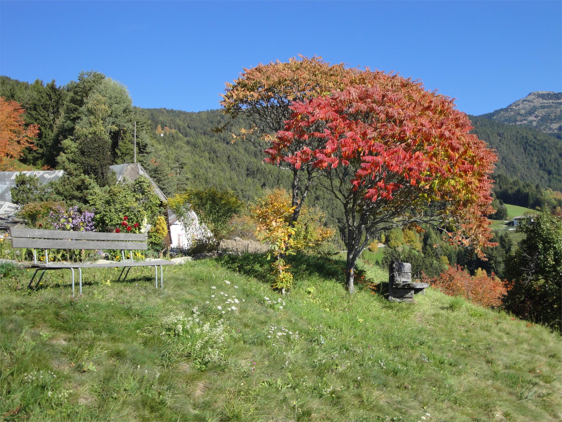 Prantschur Hof Lajen 9 suedtirol.info