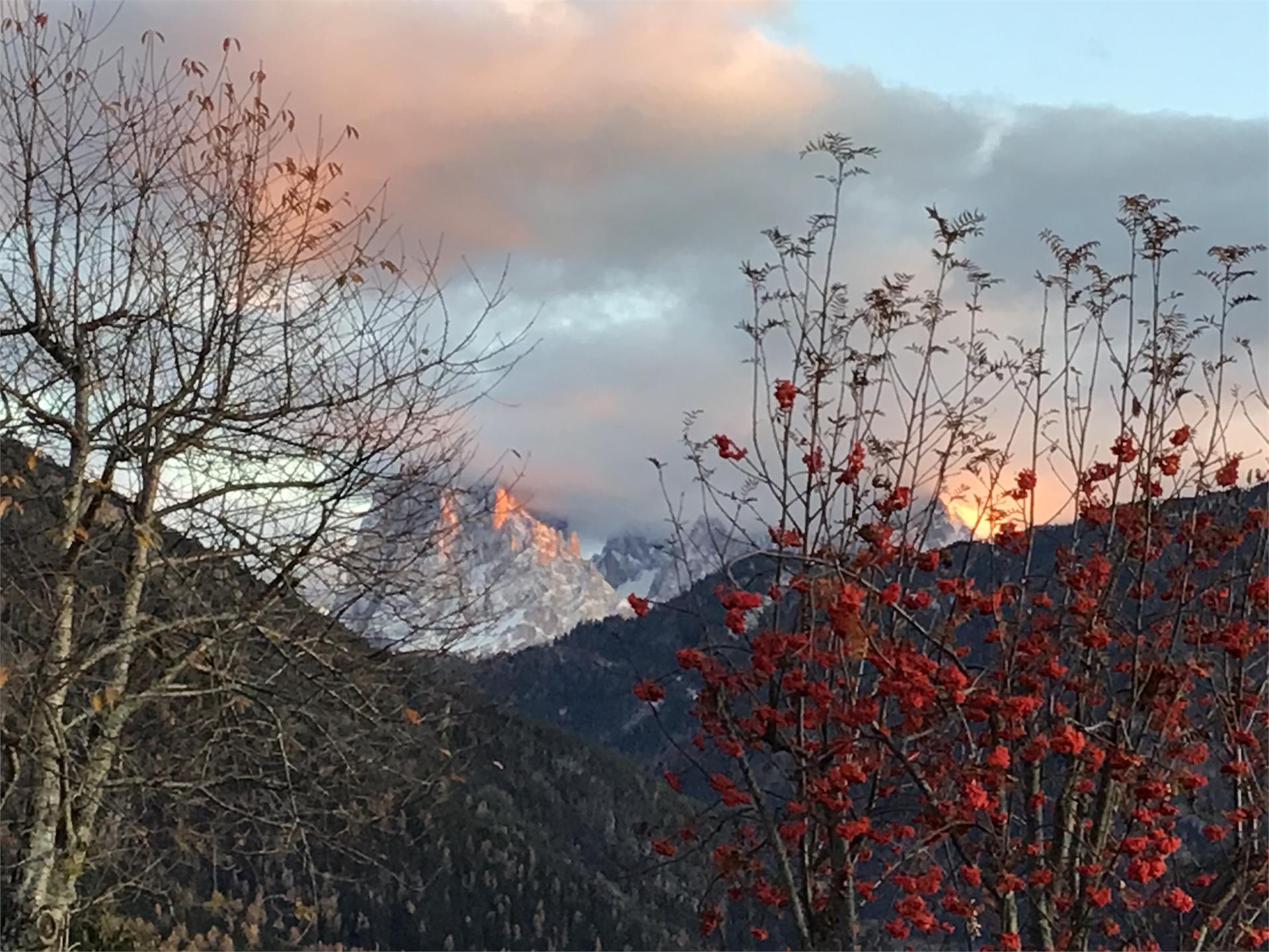 Prantschur Hof Lajen 2 suedtirol.info