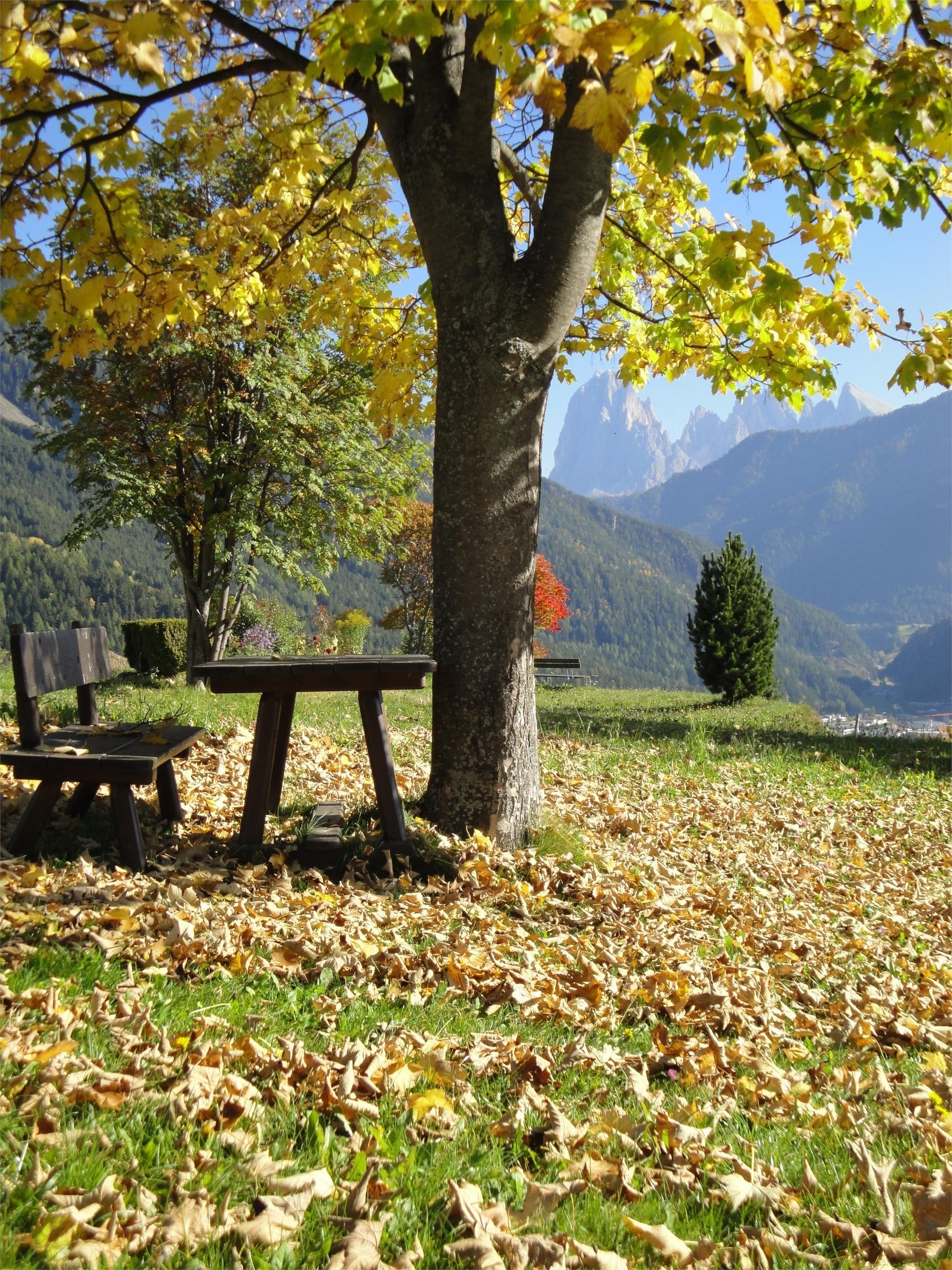 Prantschur Hof Lajen 7 suedtirol.info
