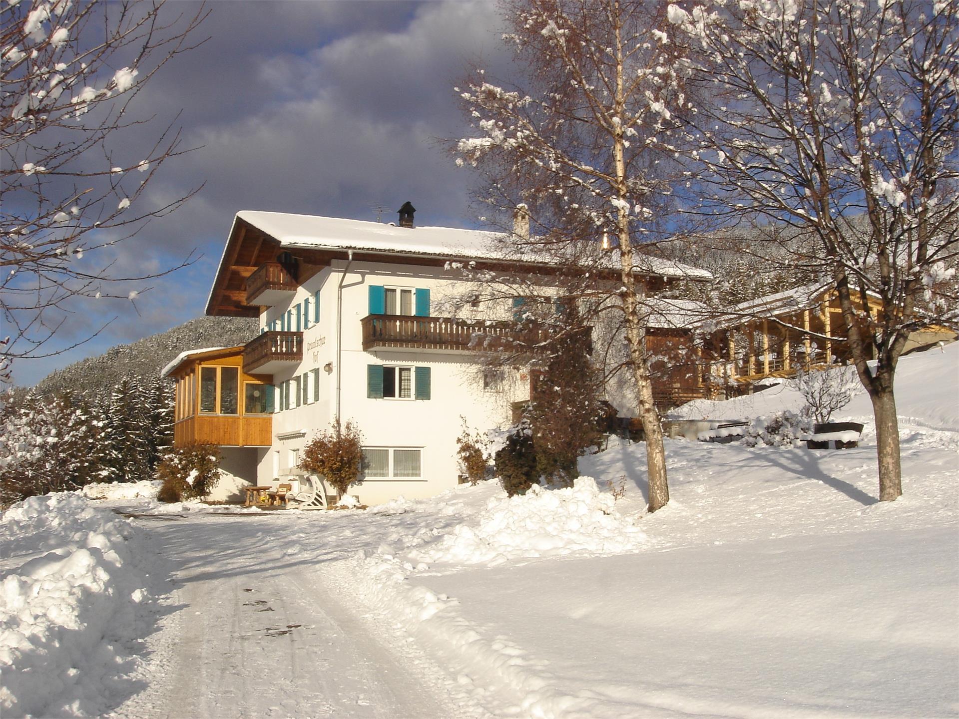 Prantschur Hof Lajen 3 suedtirol.info