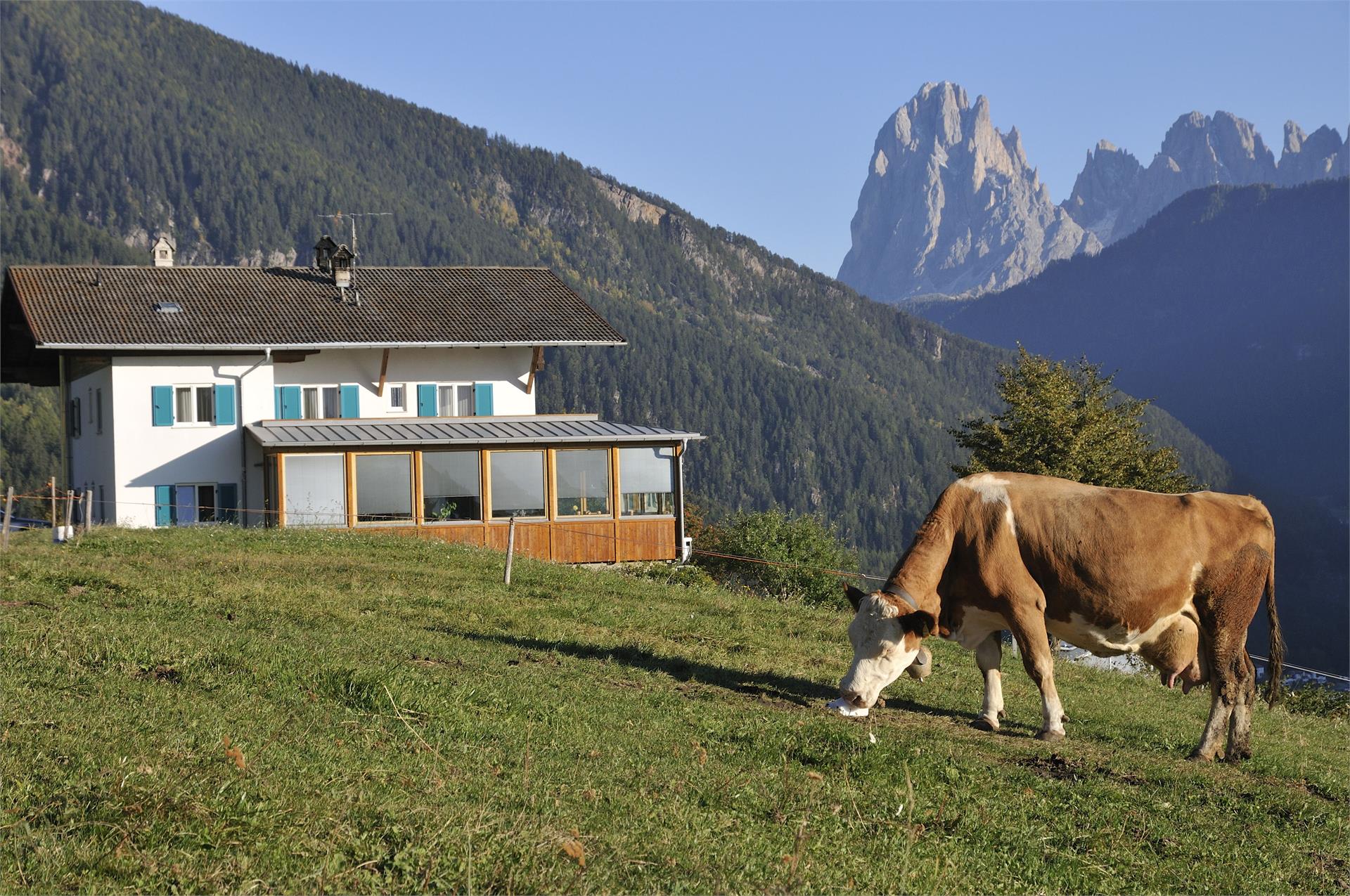 Prantschur Hof Lajen 15 suedtirol.info