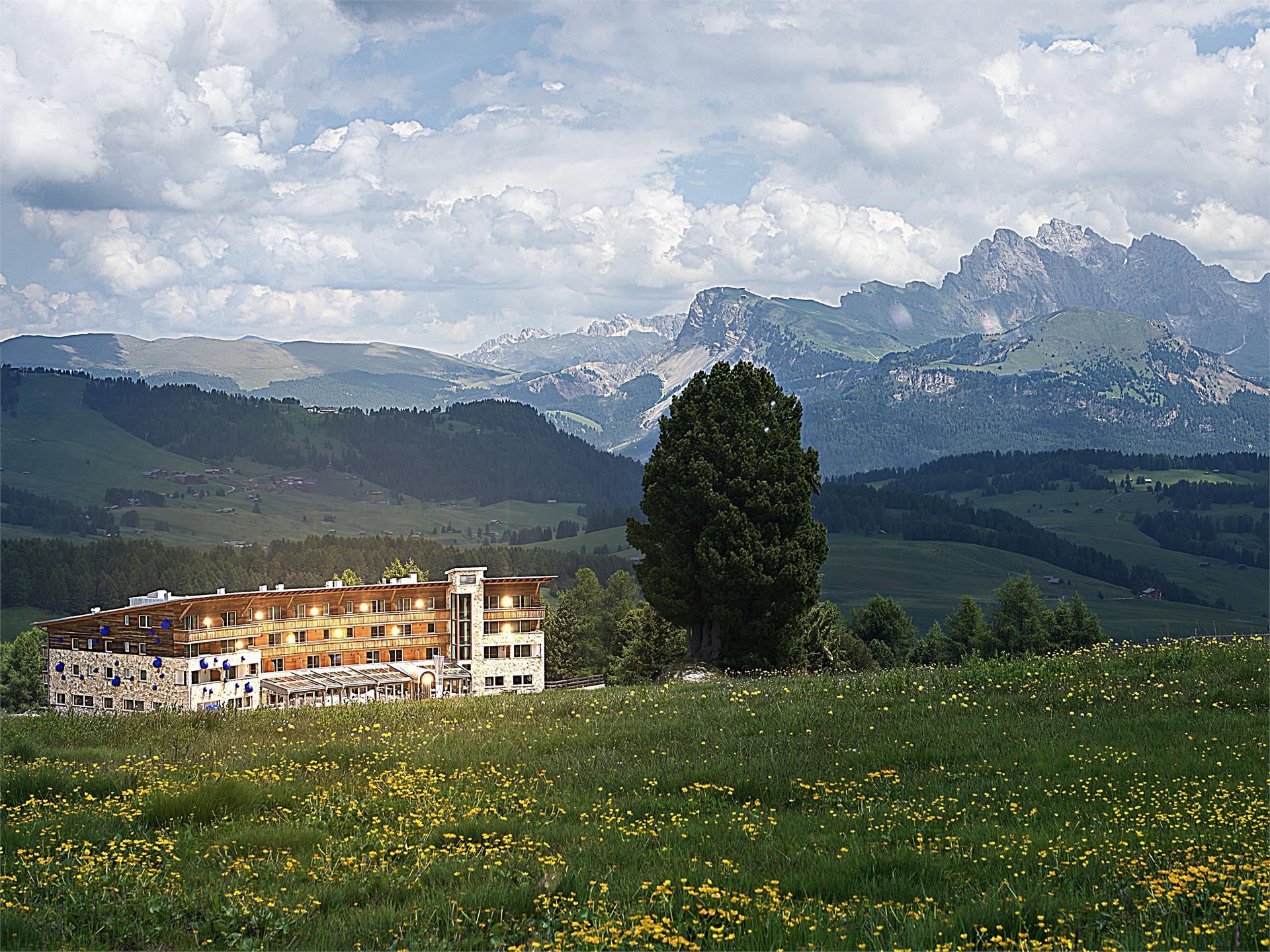 Paradiso Pure.Living Kastelruth 1 suedtirol.info