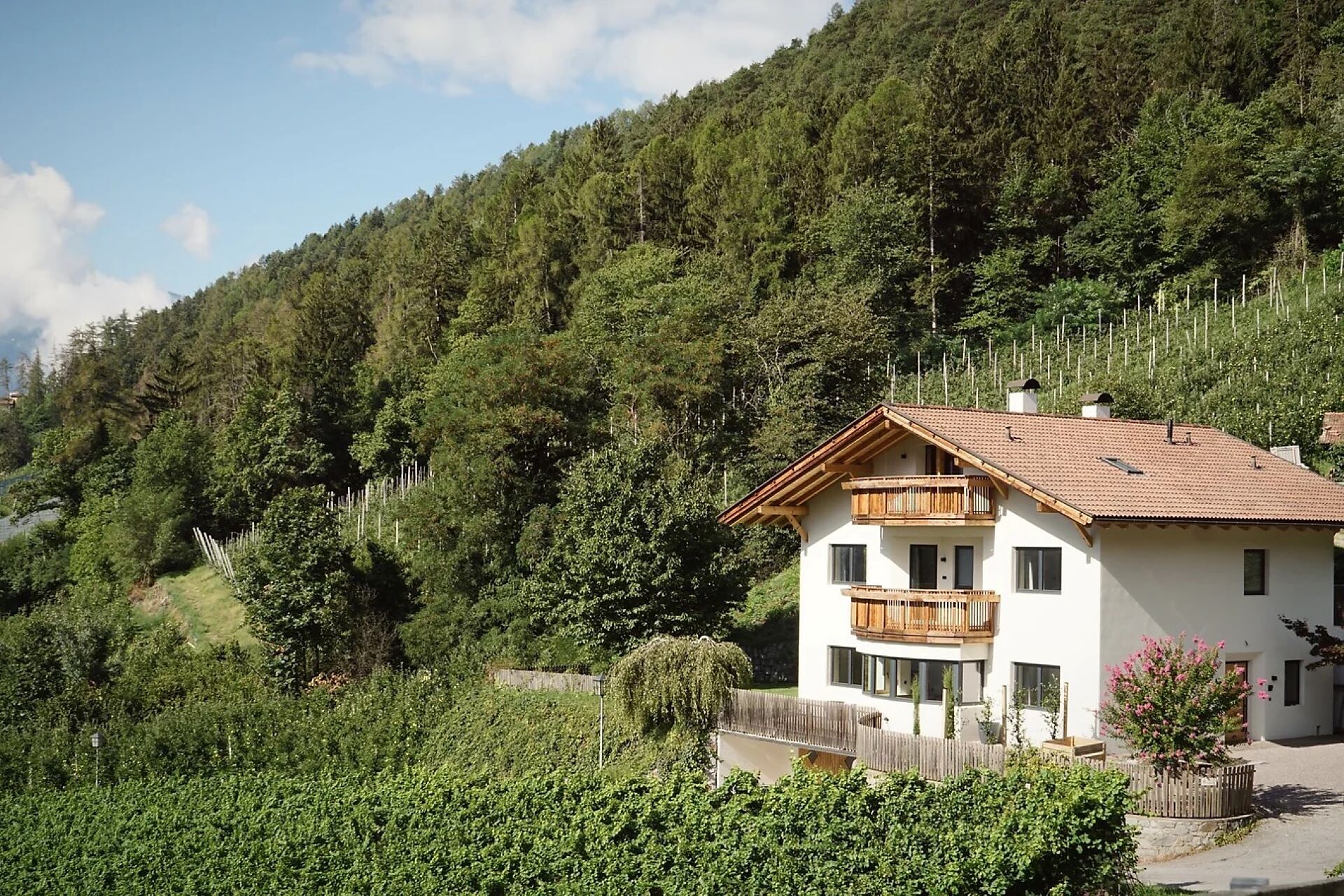 Private rooms for rent Villa Vitis