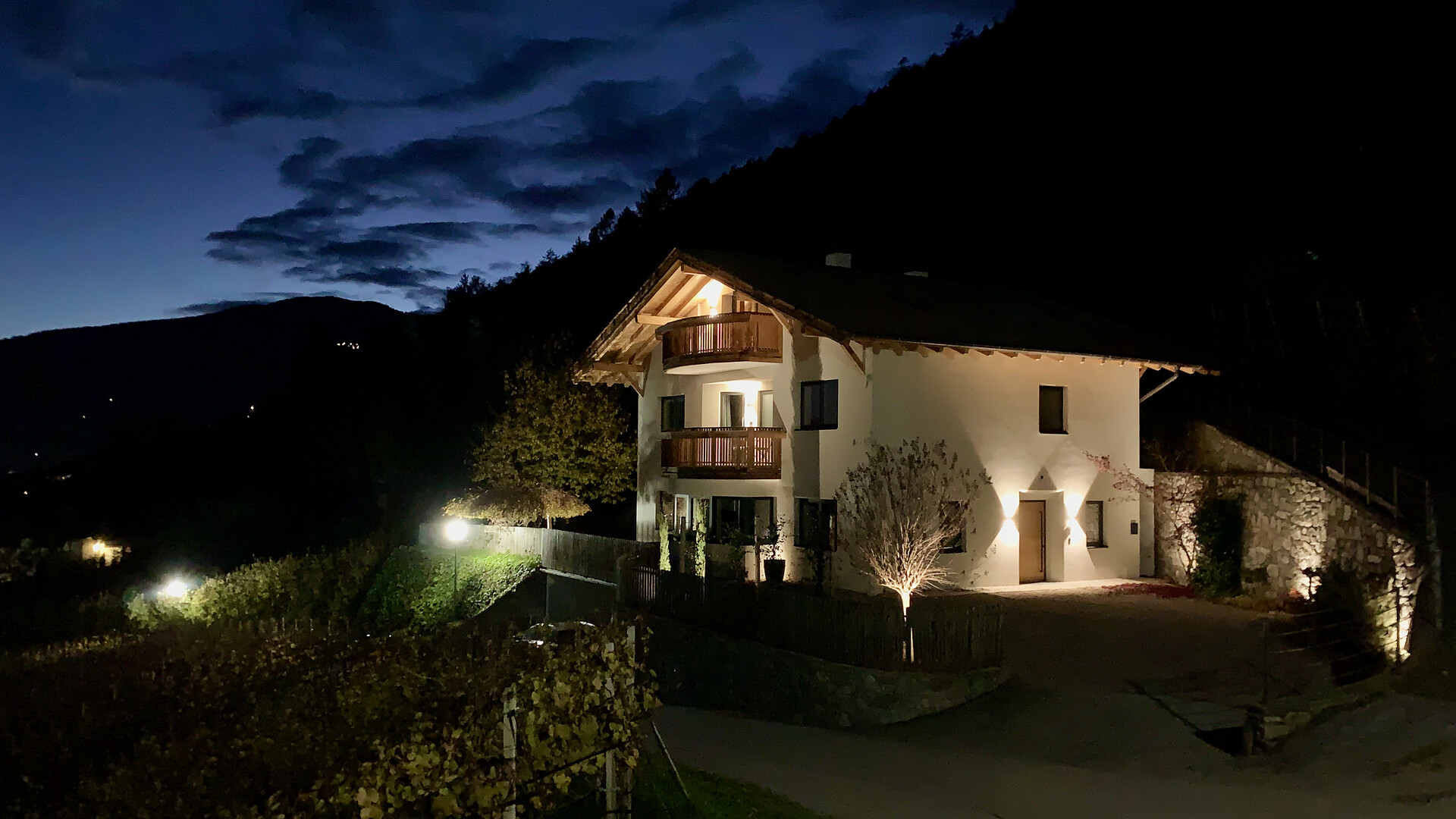 Villa Vitis