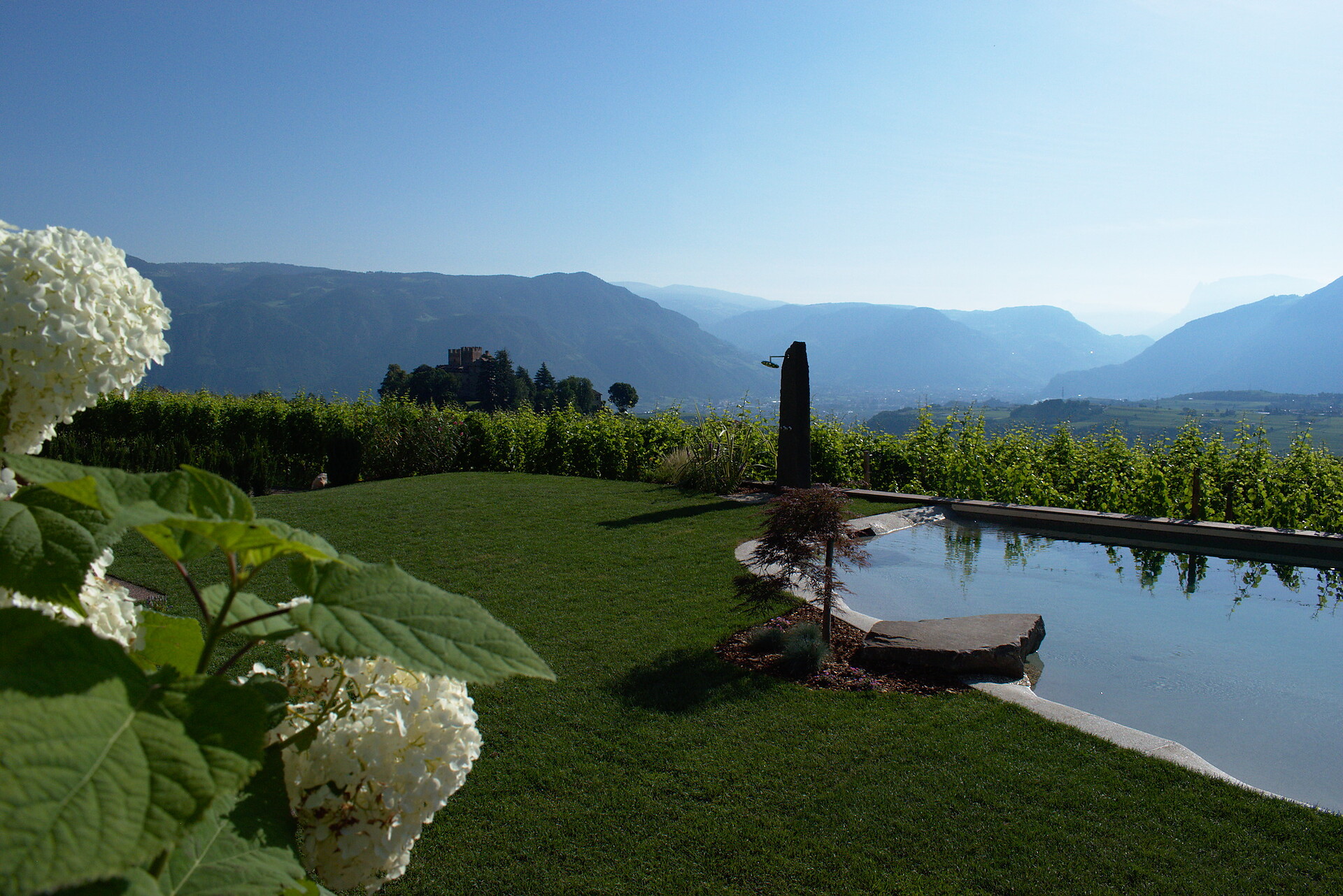 Nuovo giardino con piscina