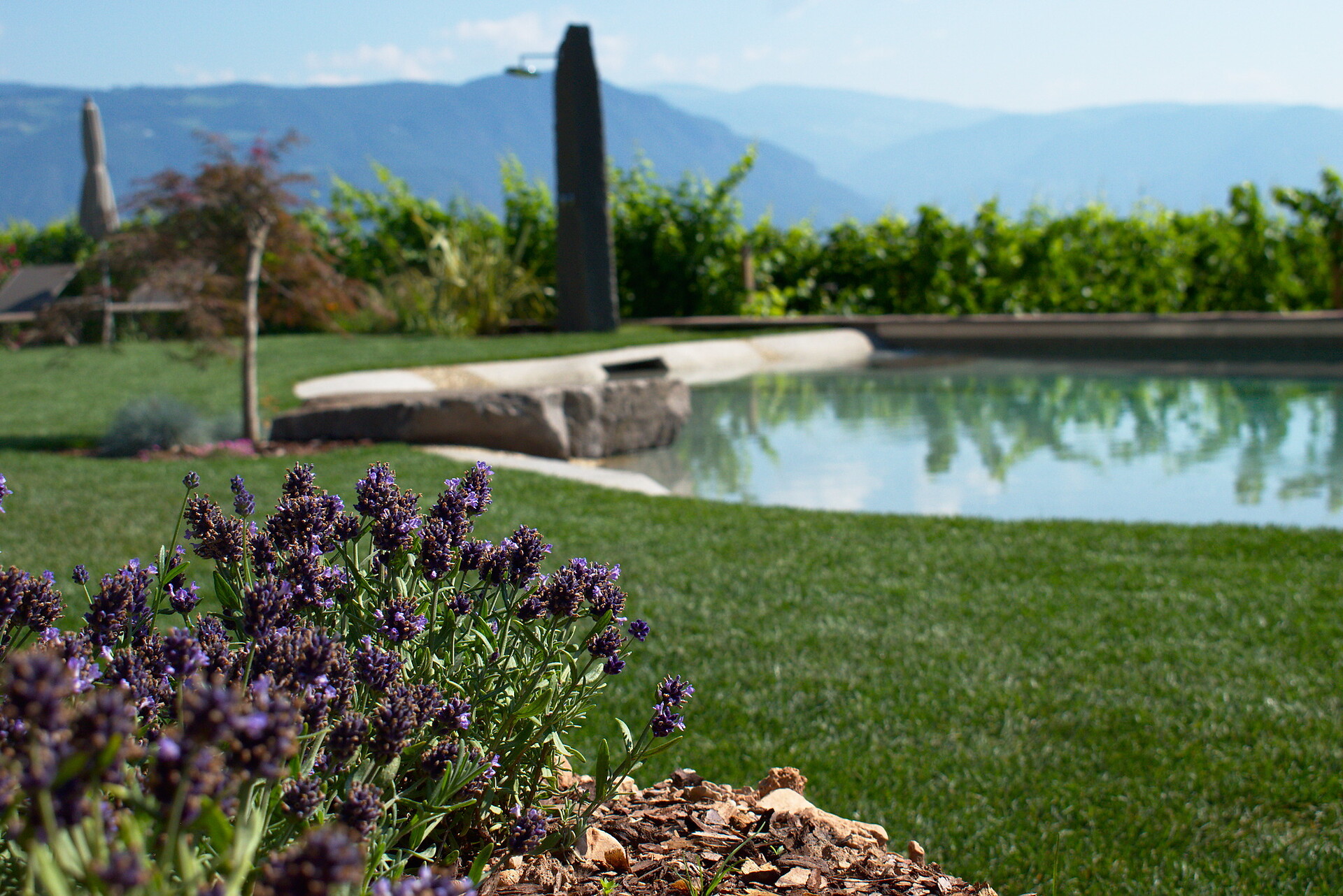 Giardino