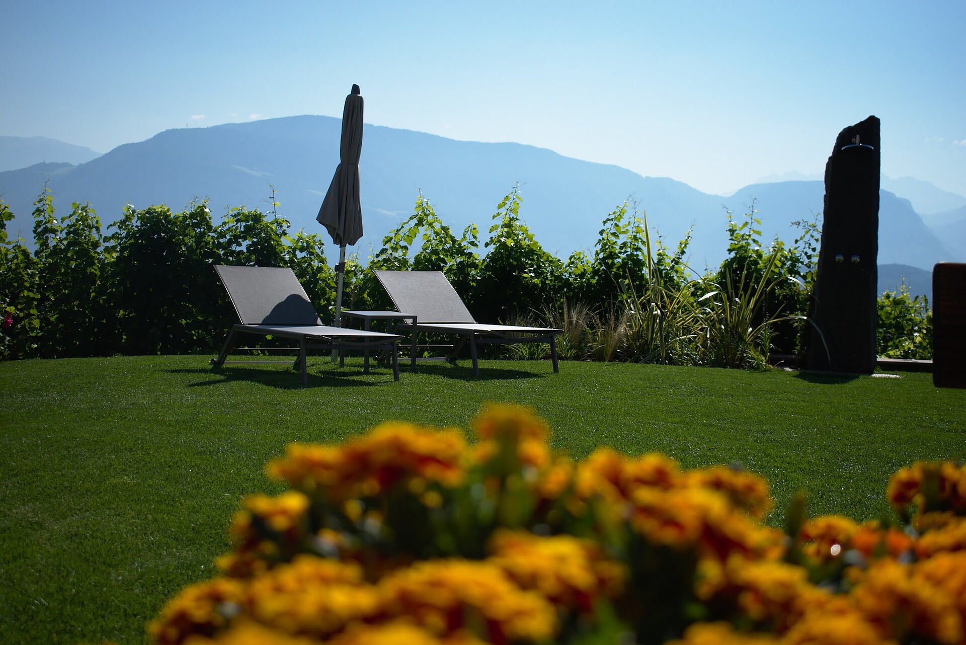 giardino