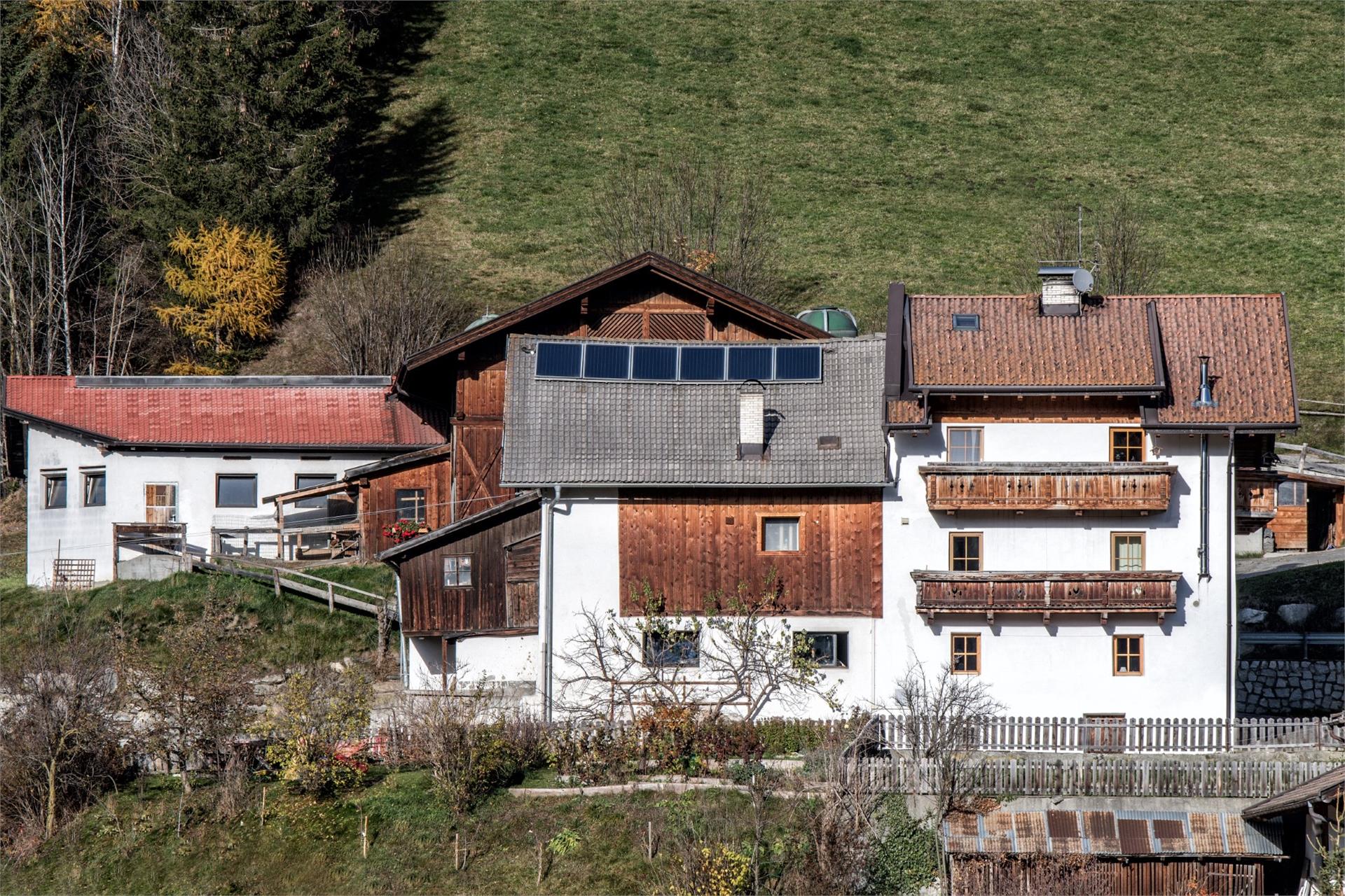 Pfitscherhof Freienfeld 21 suedtirol.info