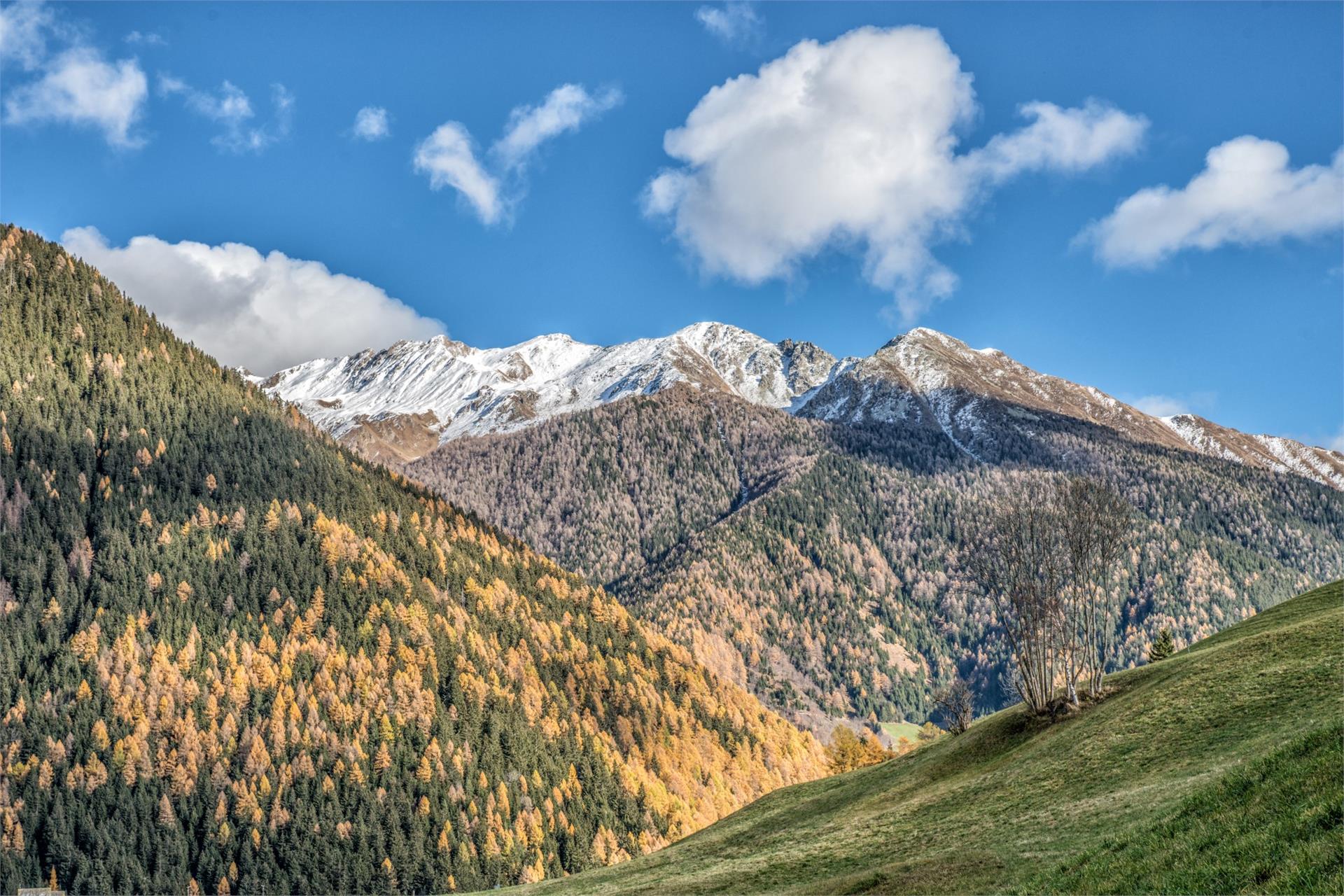 Pfitscherhof Freienfeld 22 suedtirol.info