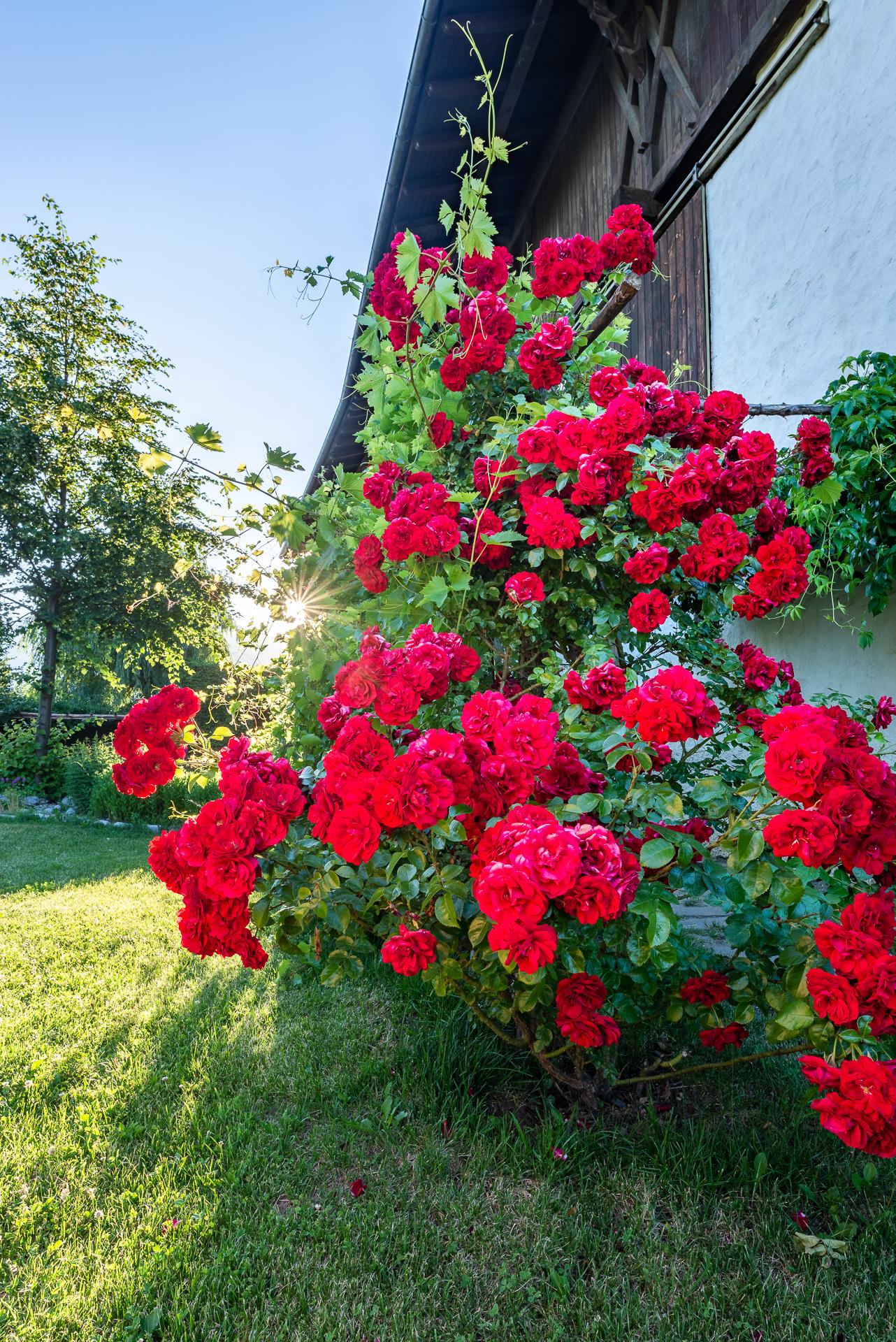 Pension Baumgartnerhof Natz-Schabs 15 suedtirol.info