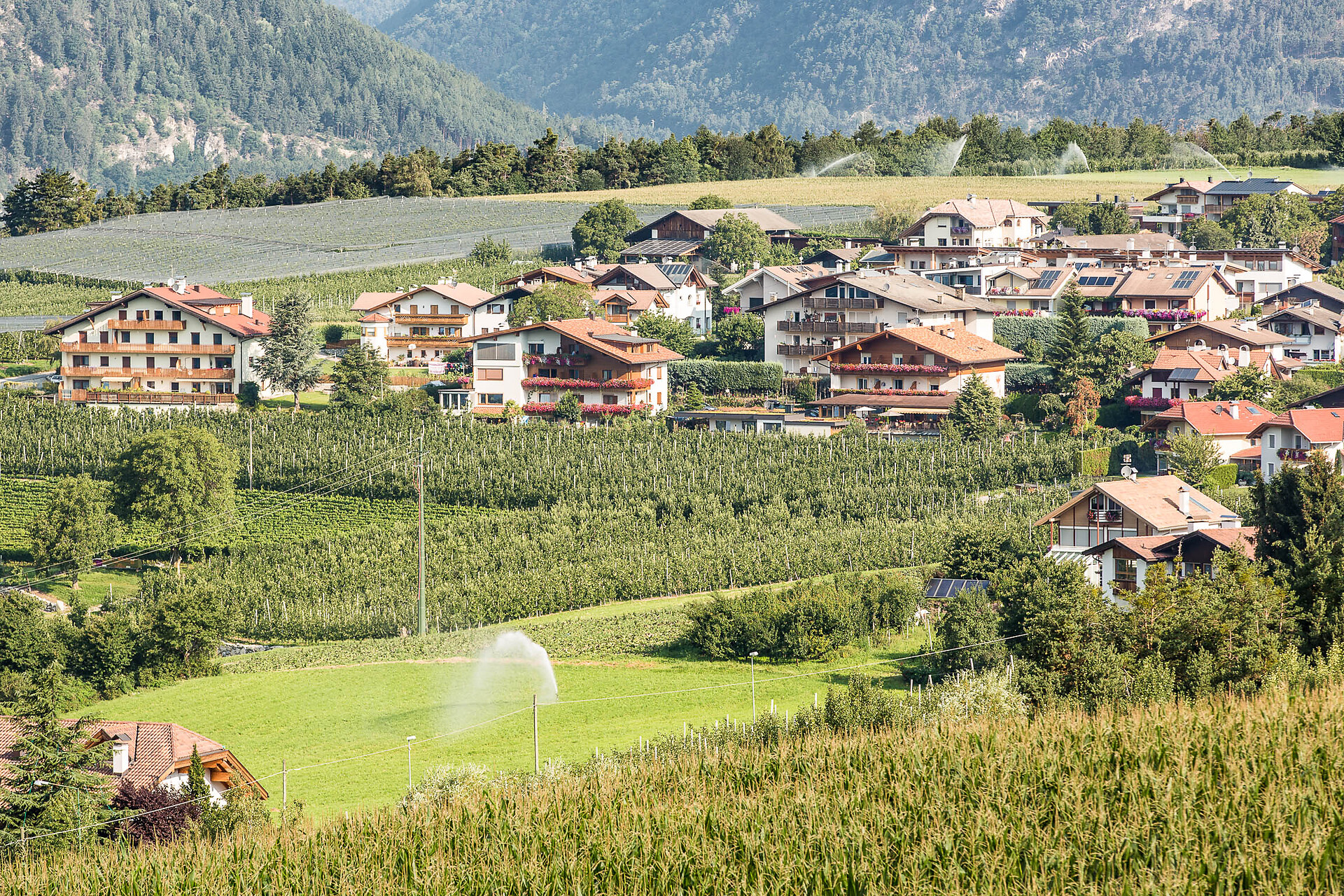 Pension Tirolerhof Natz-Schabs/Naz-Sciaves 2 suedtirol.info