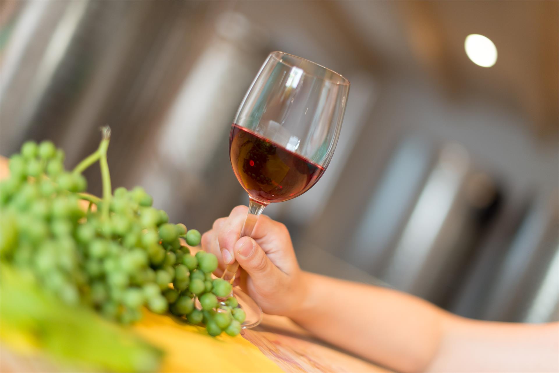 Pension Etschblick Eppan an der Weinstaße/Appiano sulla Strada del Vino 8 suedtirol.info
