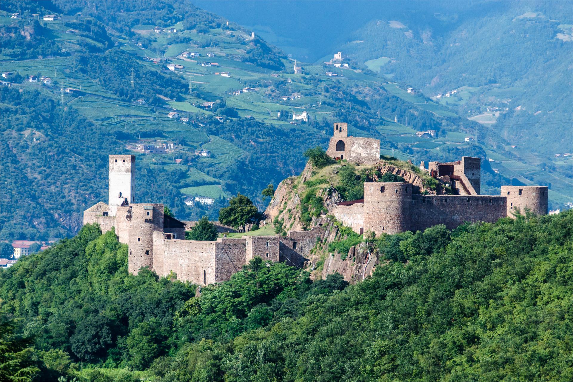 Pension Etschblick Eppan an der Weinstaße/Appiano sulla Strada del Vino 16 suedtirol.info