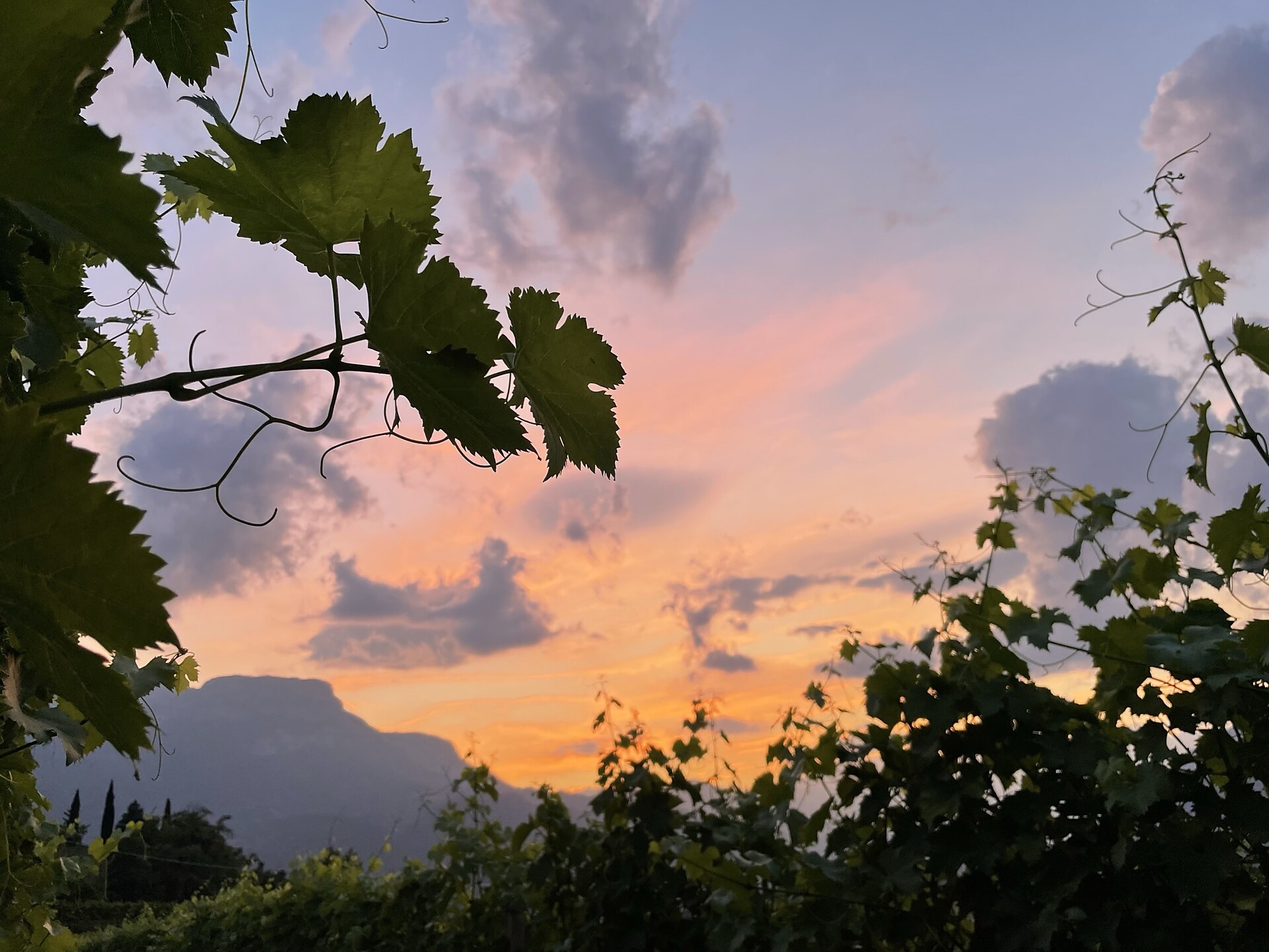 Pension Etschblick Eppan an der Weinstraße 25 suedtirol.info