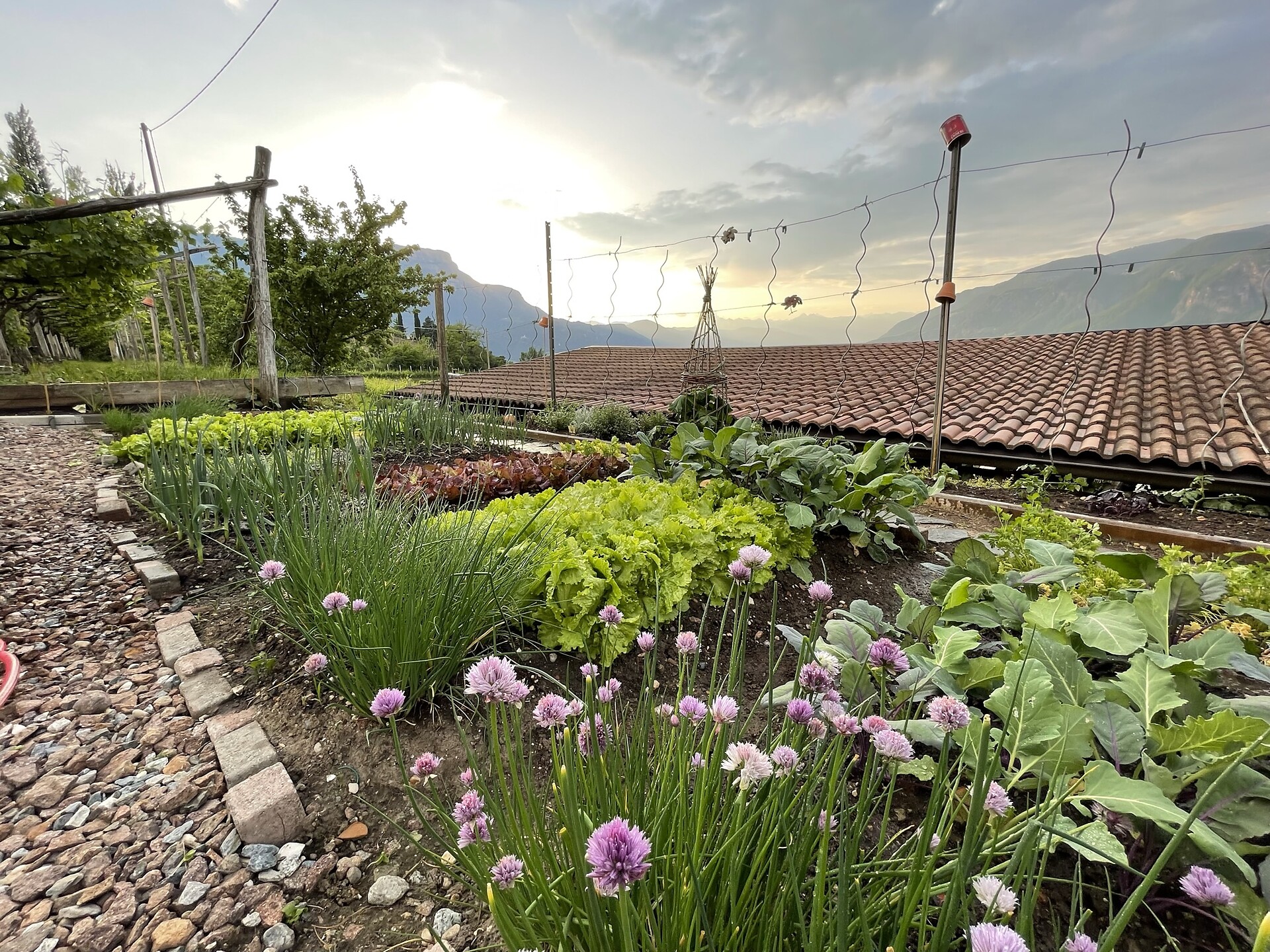 Pension Etschblick Eppan an der Weinstraße 23 suedtirol.info