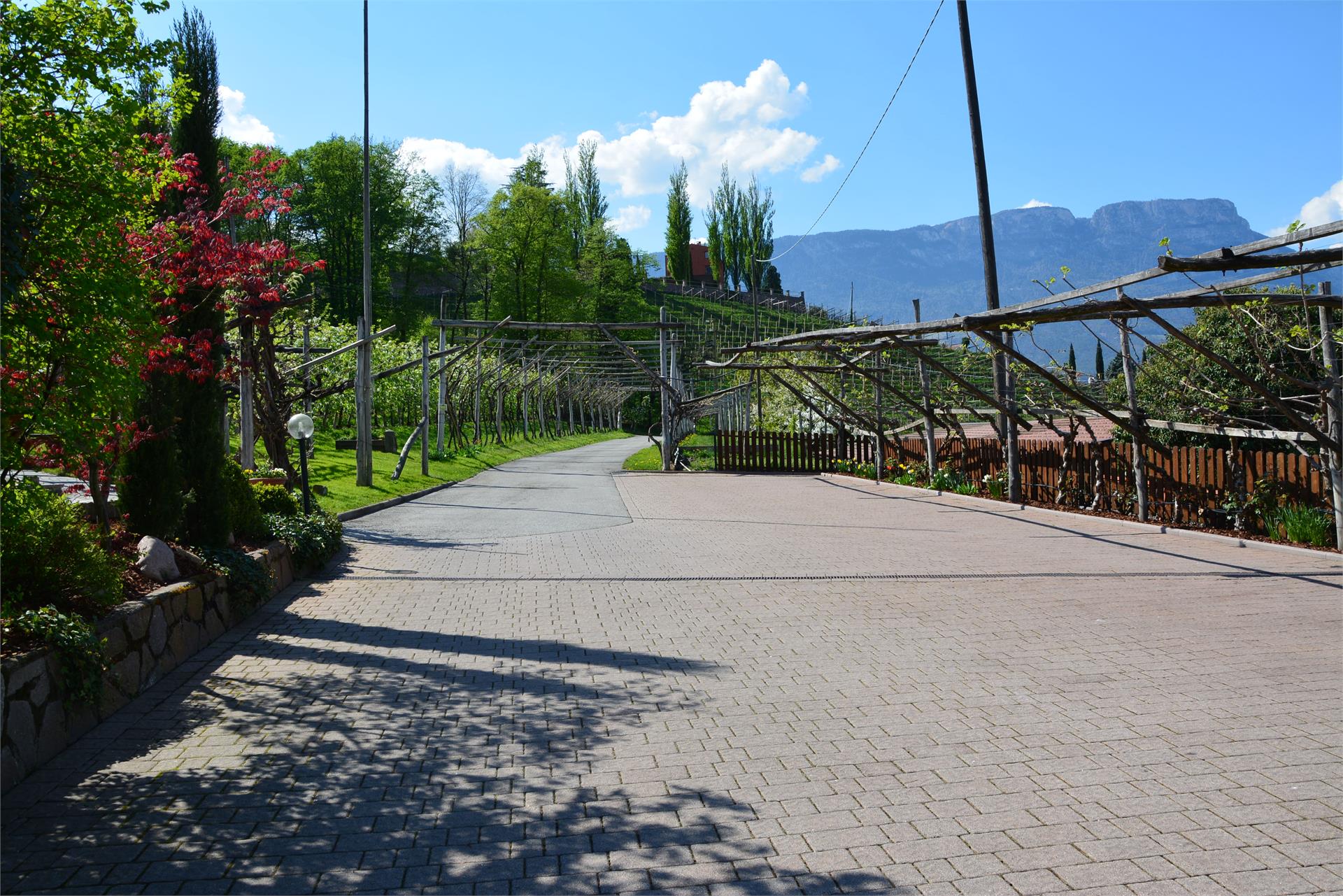 Pension Etschblick Eppan an der Weinstaße/Appiano sulla Strada del Vino 17 suedtirol.info