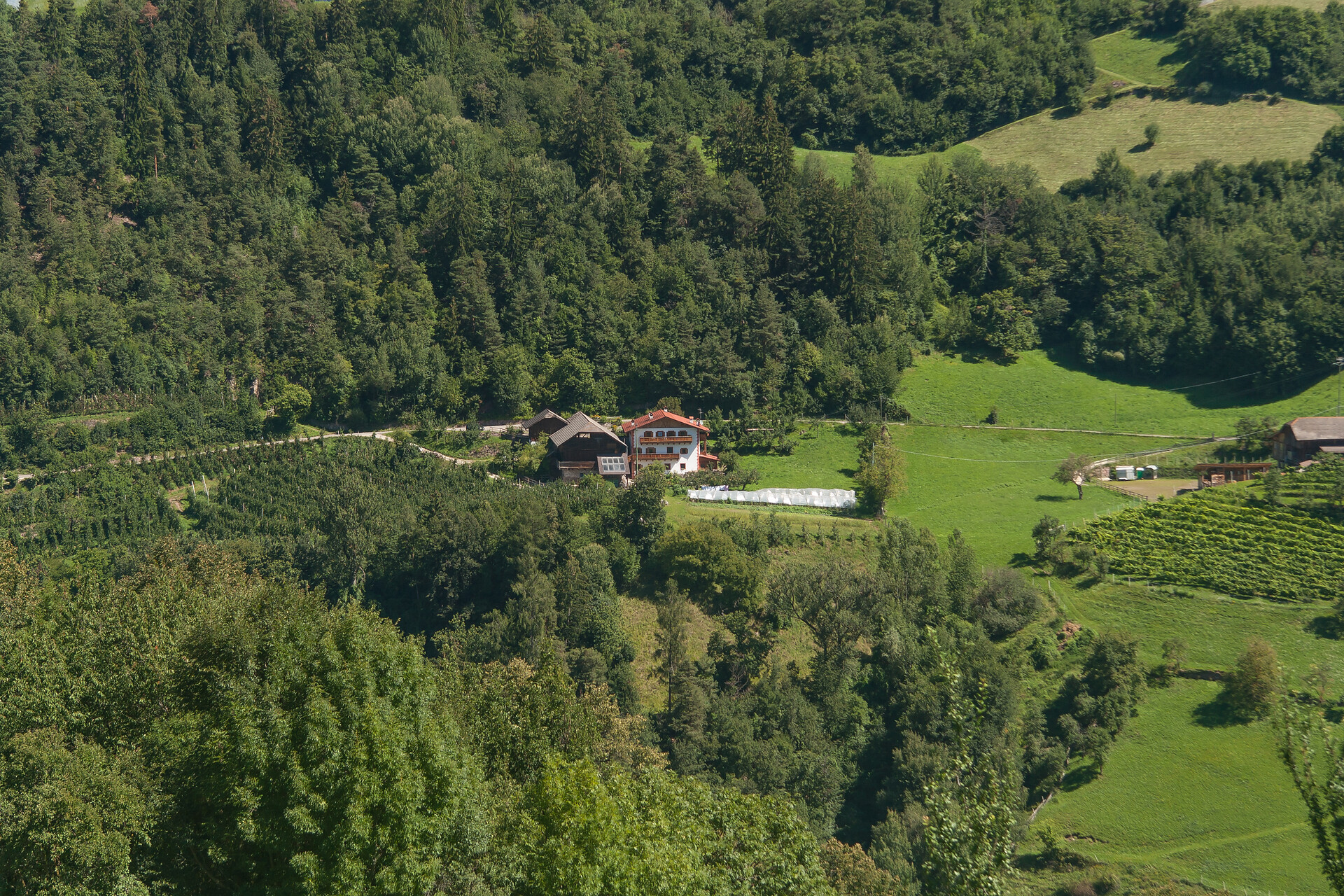 Puntschiedhof