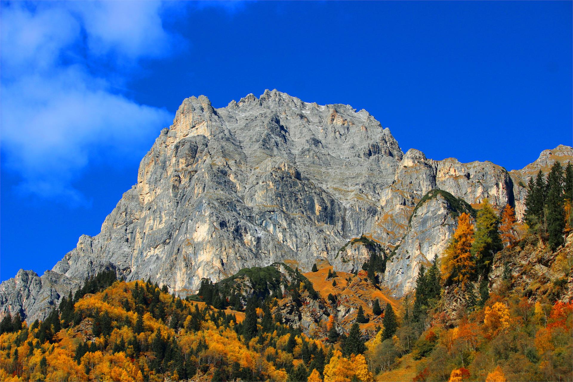 Paulnhof Brenner 21 suedtirol.info