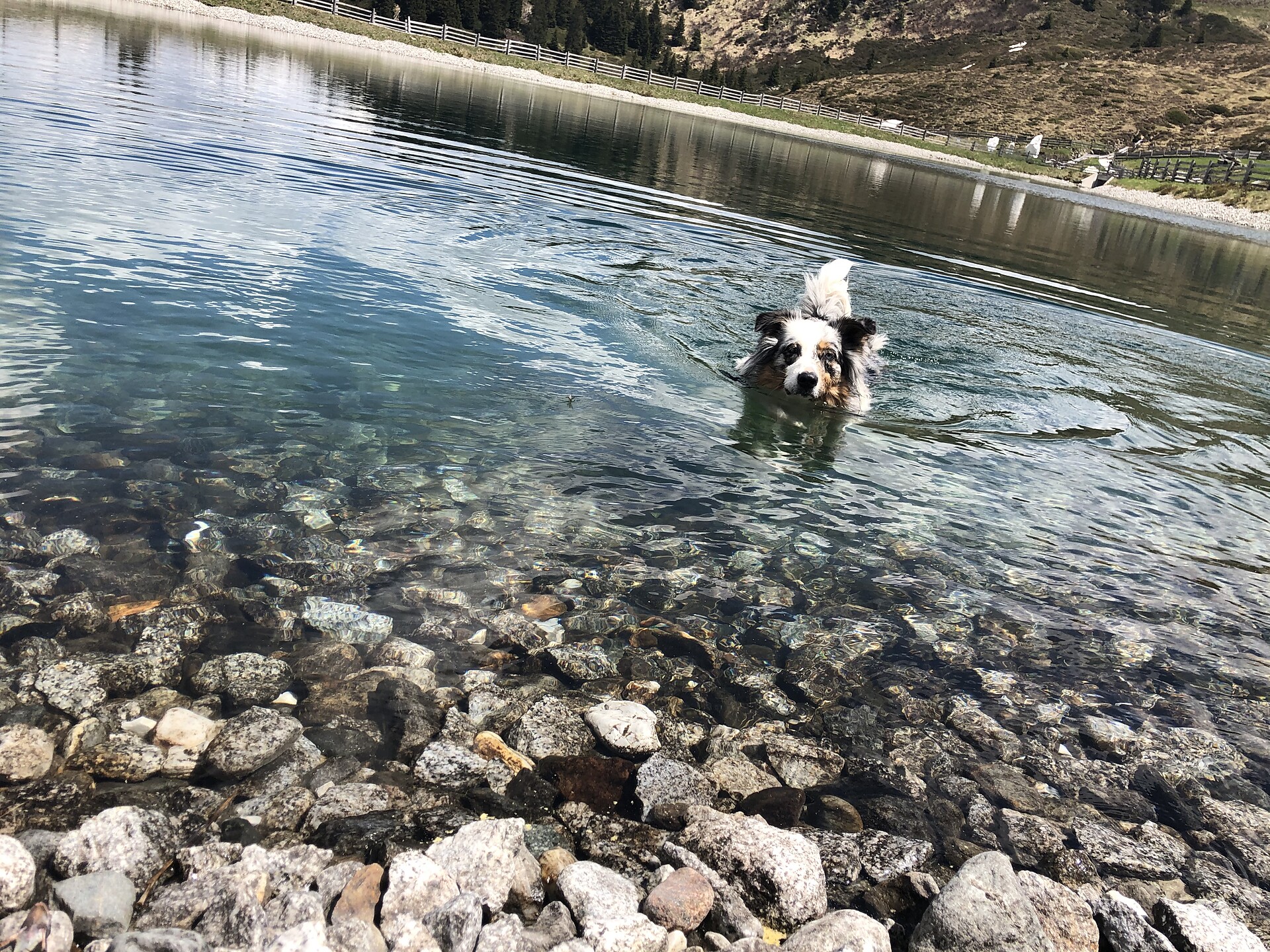 lago
