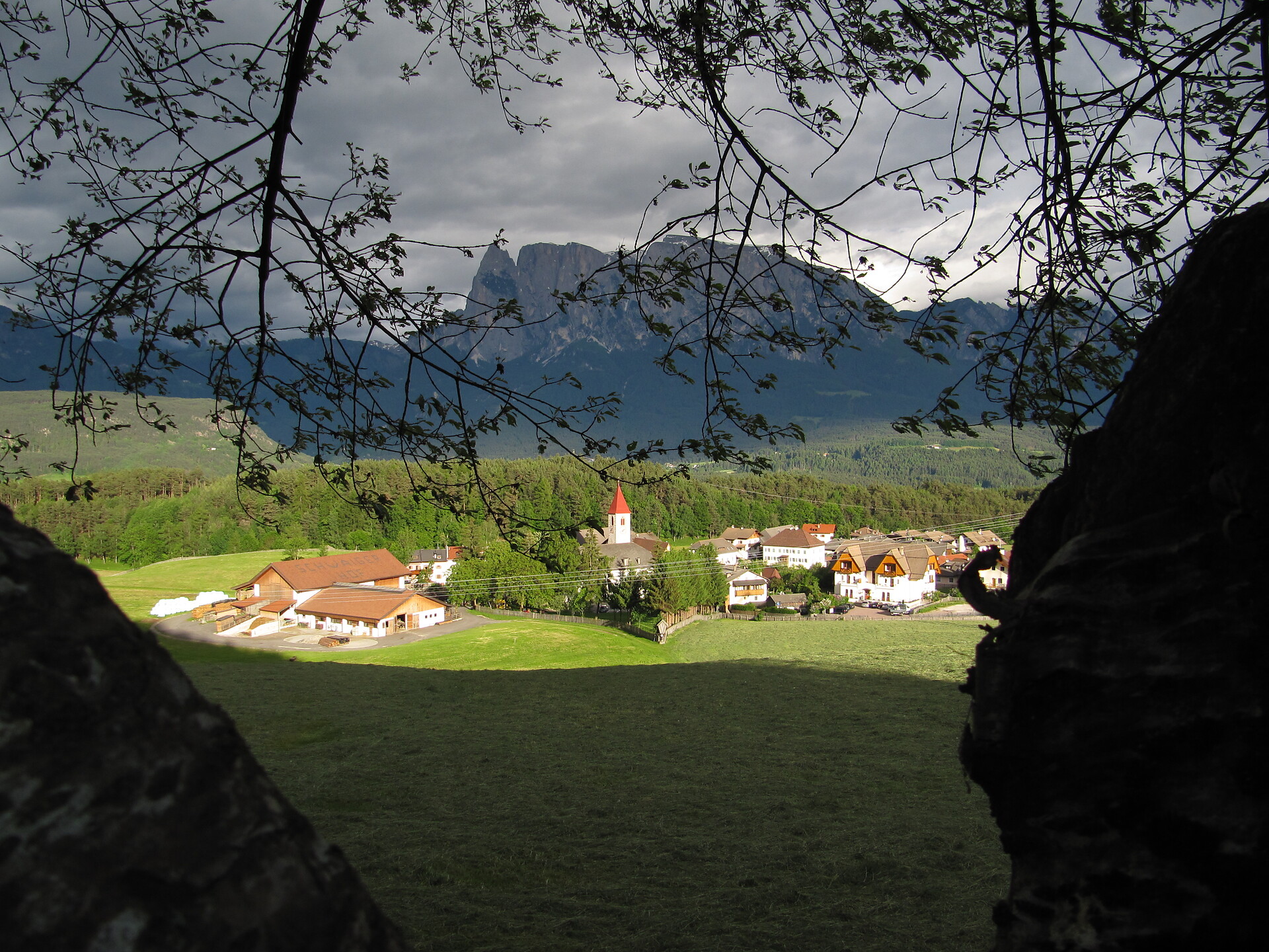 Longostagno