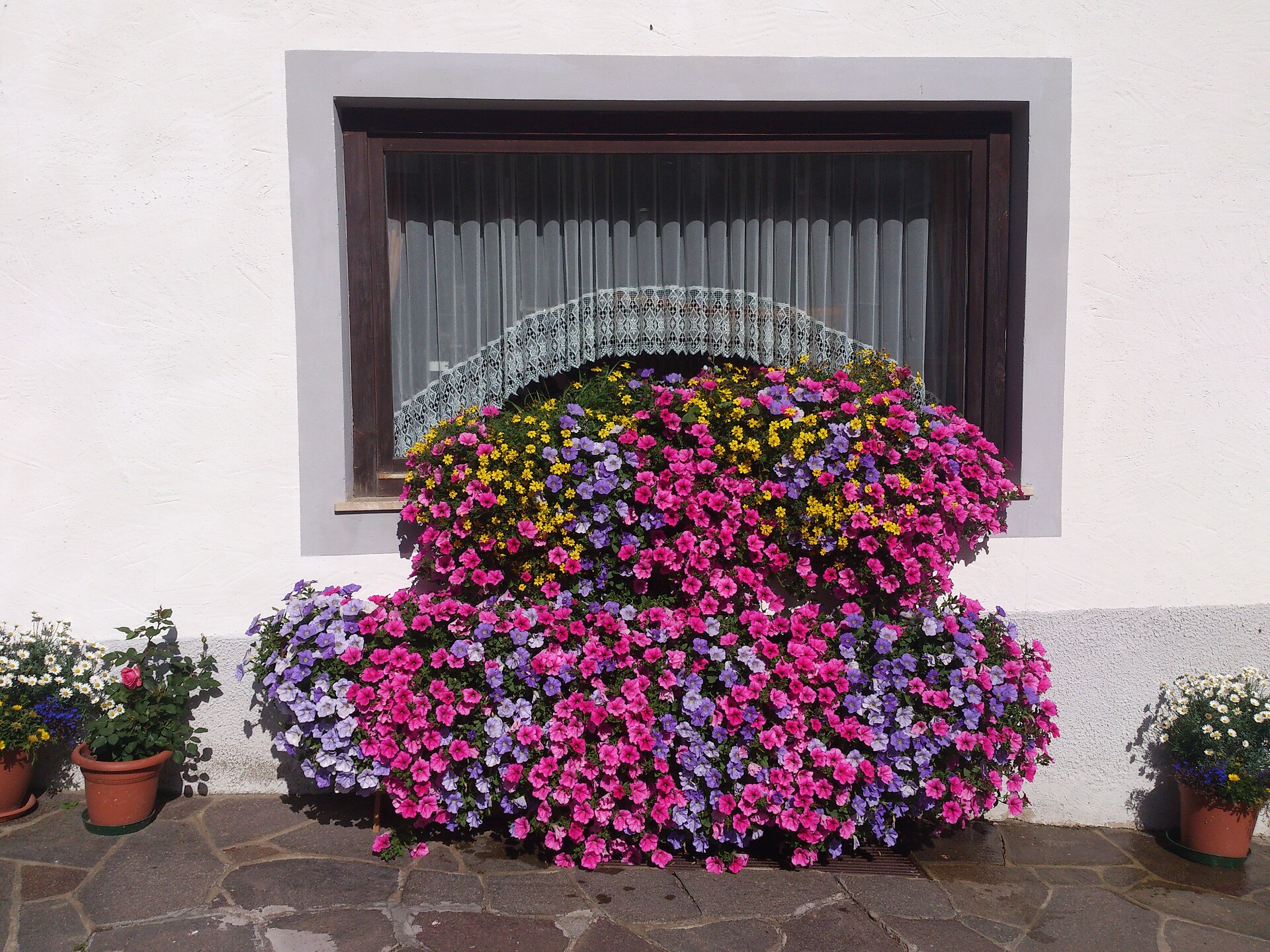Pension Enzian