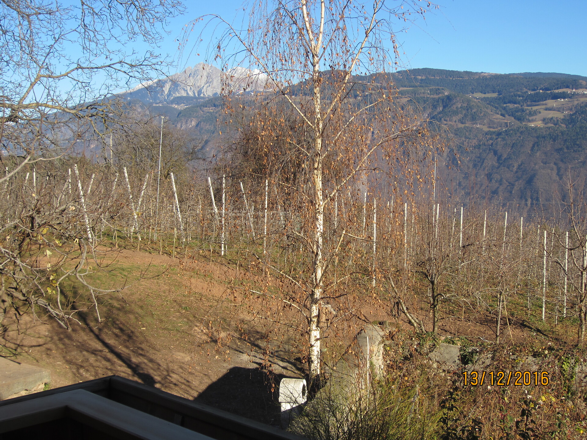 Plattnerhof Tesimo 14 suedtirol.info