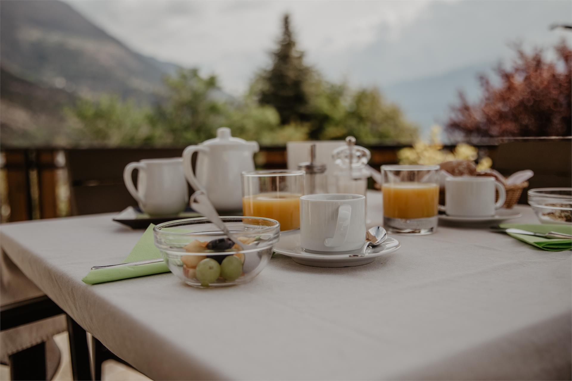 Pension Feldgärtenhof Schlanders 21 suedtirol.info