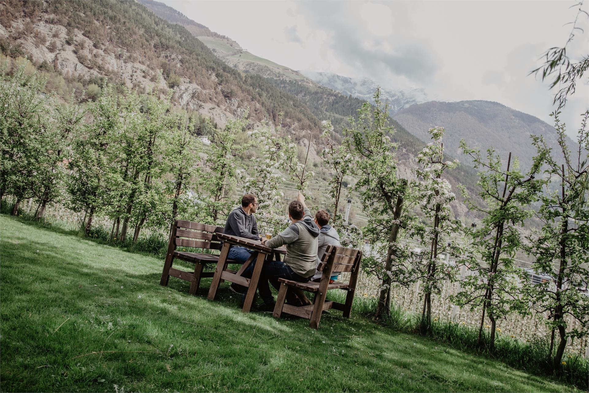 Pension Feldgärtenhof Schlanders 25 suedtirol.info