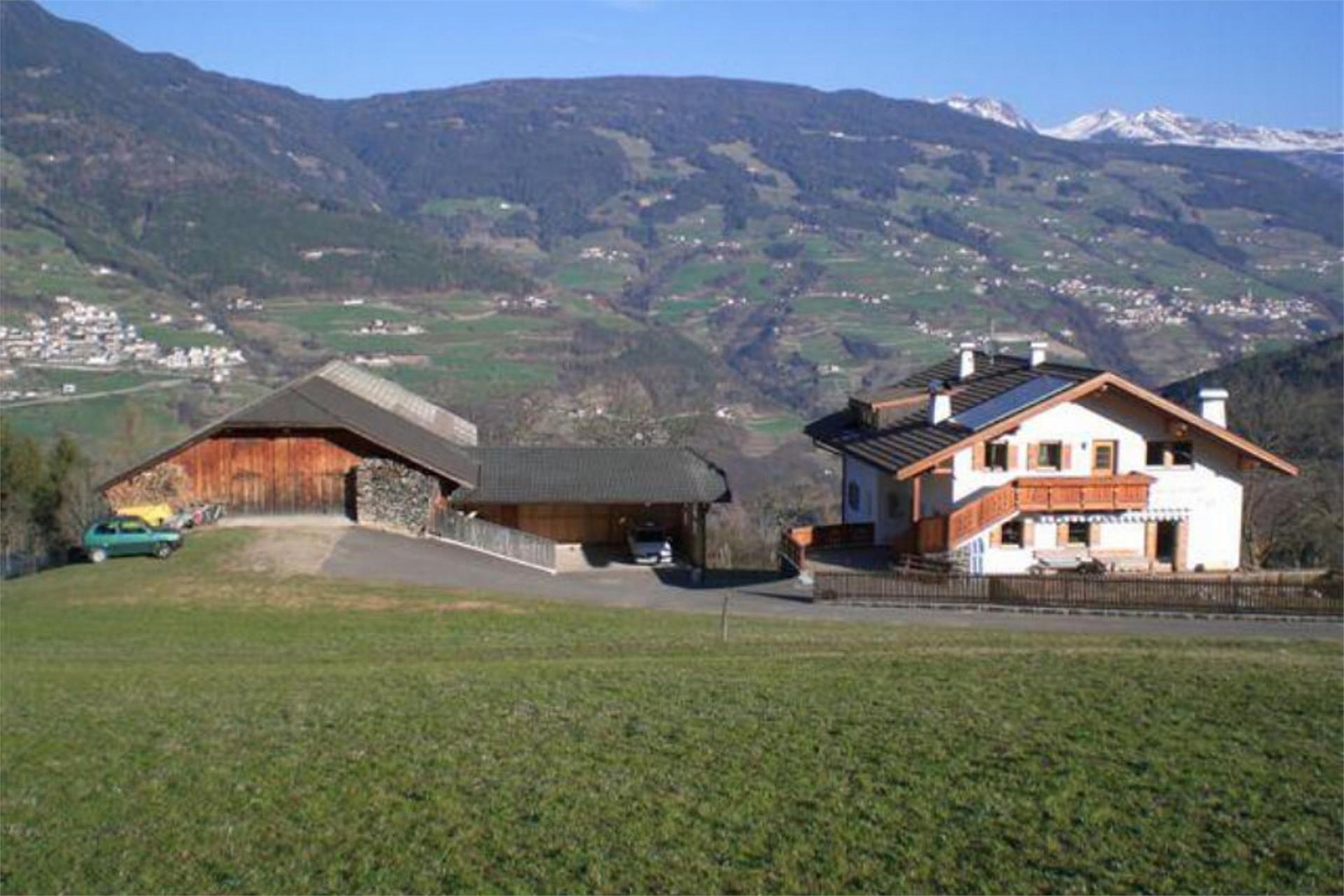 Maso Paulrainer Castelrotto 8 suedtirol.info