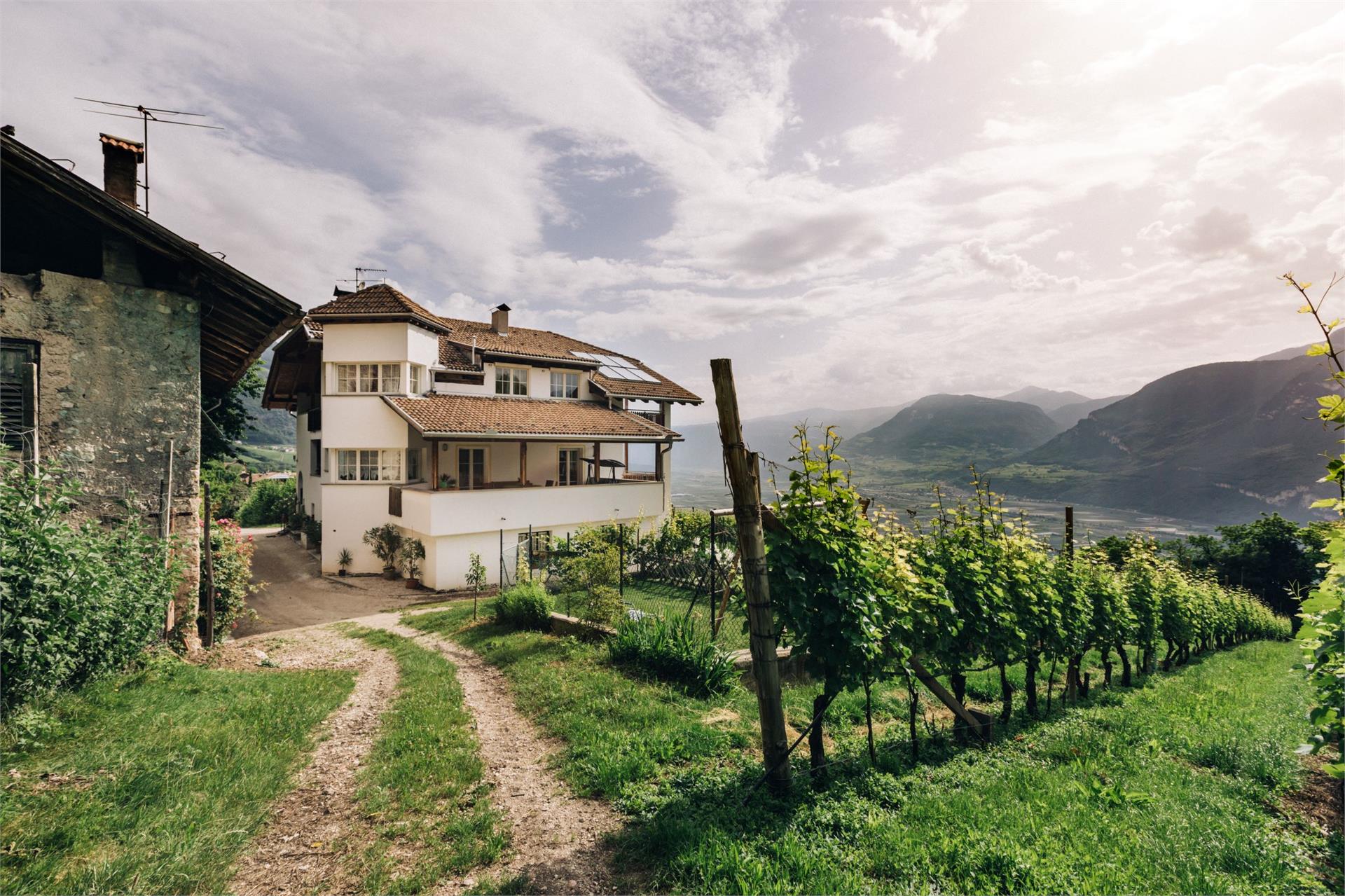 Prentnerhof Kurtatsch an der Weinstraße/Cortaccia sulla Strada del Vino 2 suedtirol.info