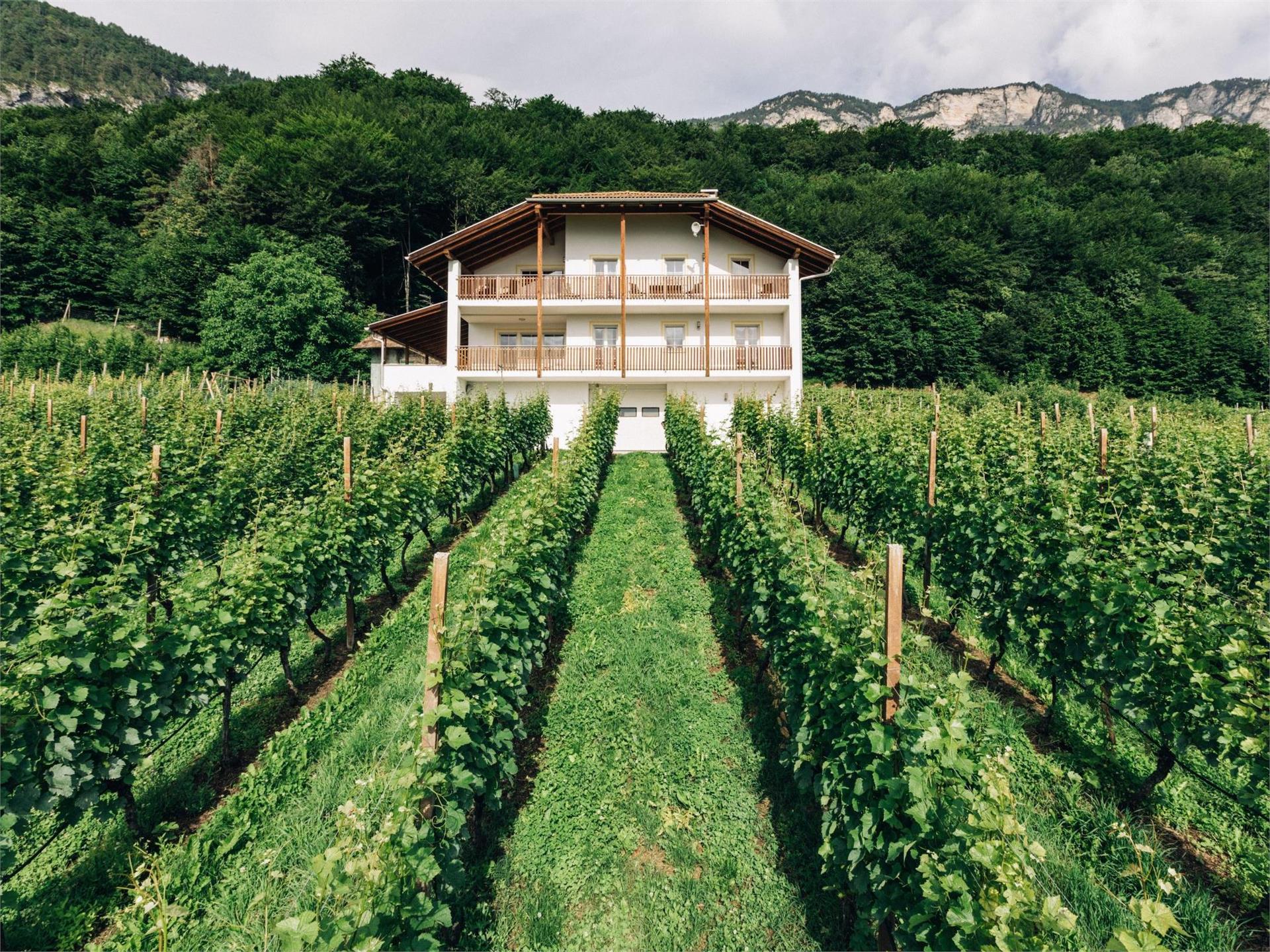 Prentnerhof Kurtatsch an der Weinstraße/Cortaccia sulla Strada del Vino 1 suedtirol.info