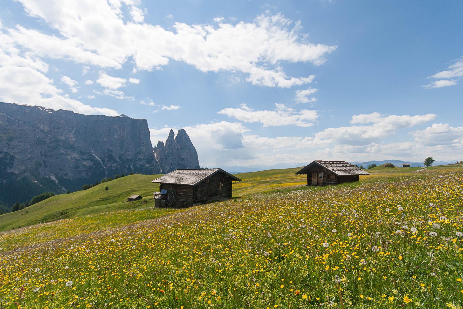 Malga Puntschieder Castelrotto 8 suedtirol.info