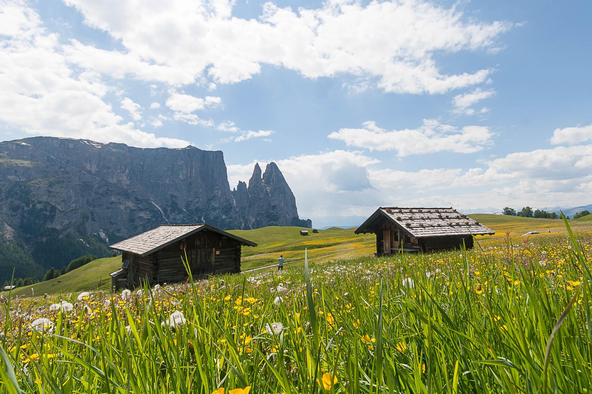 Malga Puntschieder Castelrotto 1 suedtirol.info