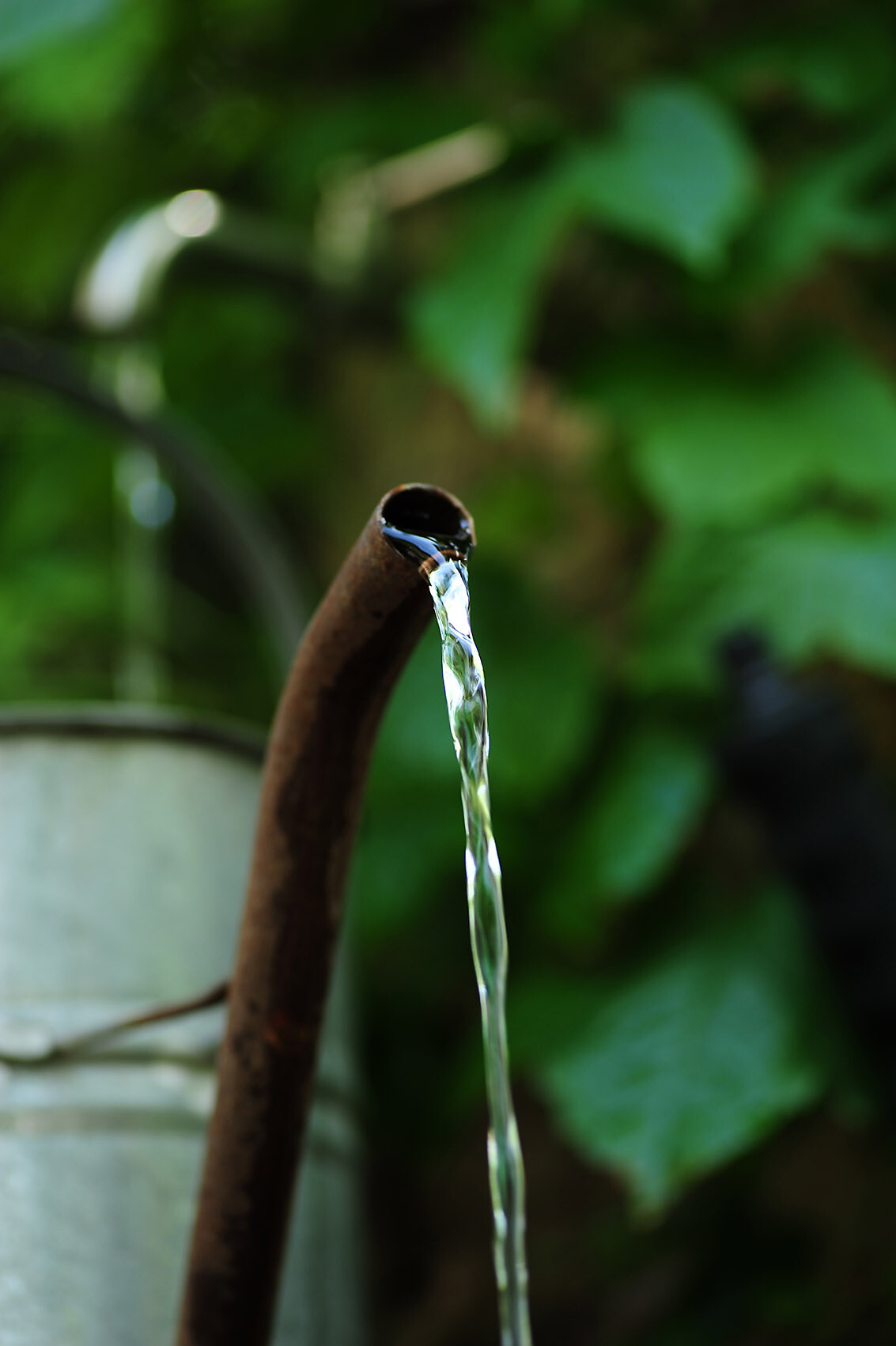 fountain