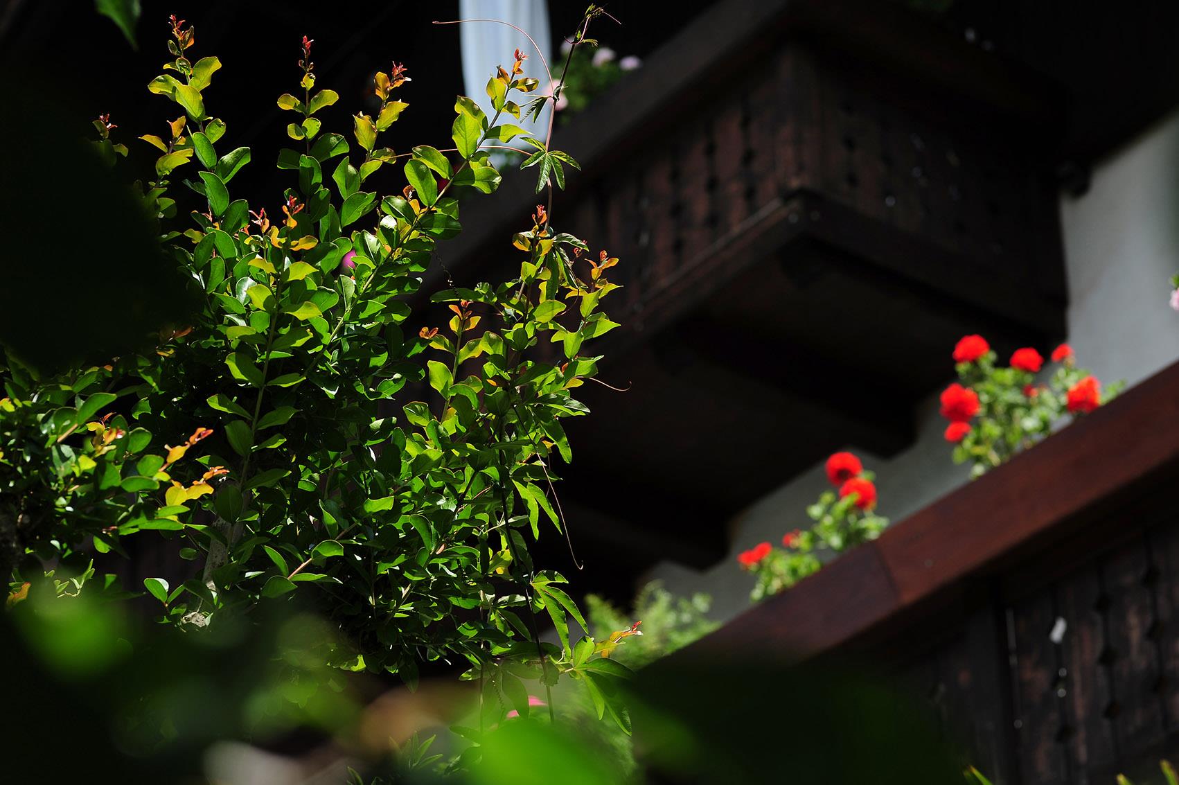 Pension Sonnheim Gargazon 4 suedtirol.info