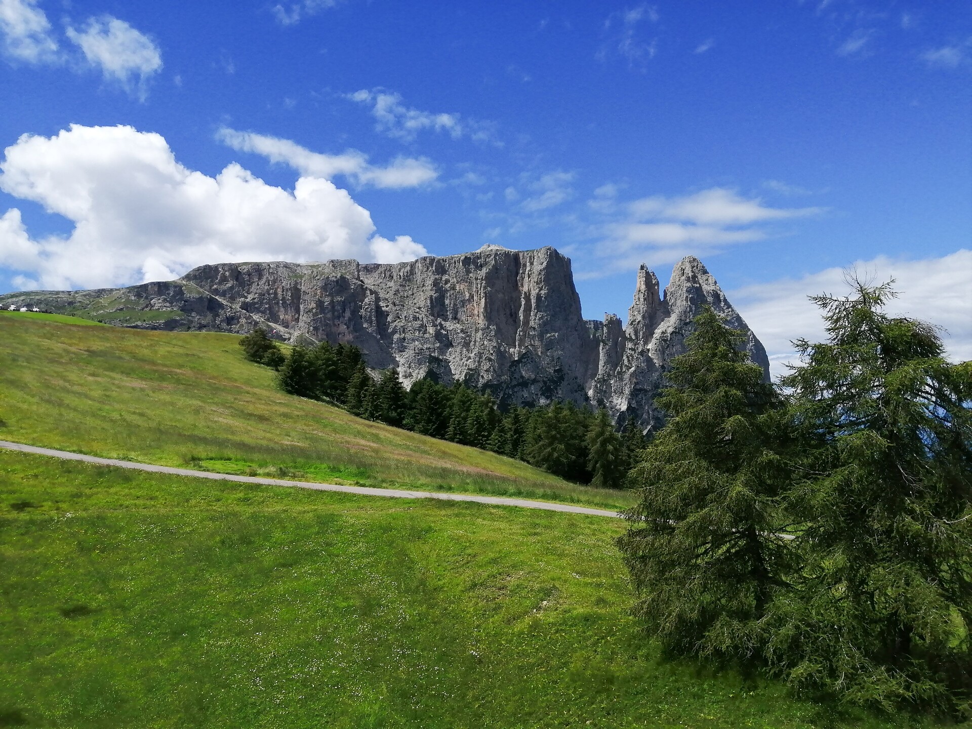 Alpe di Siusi