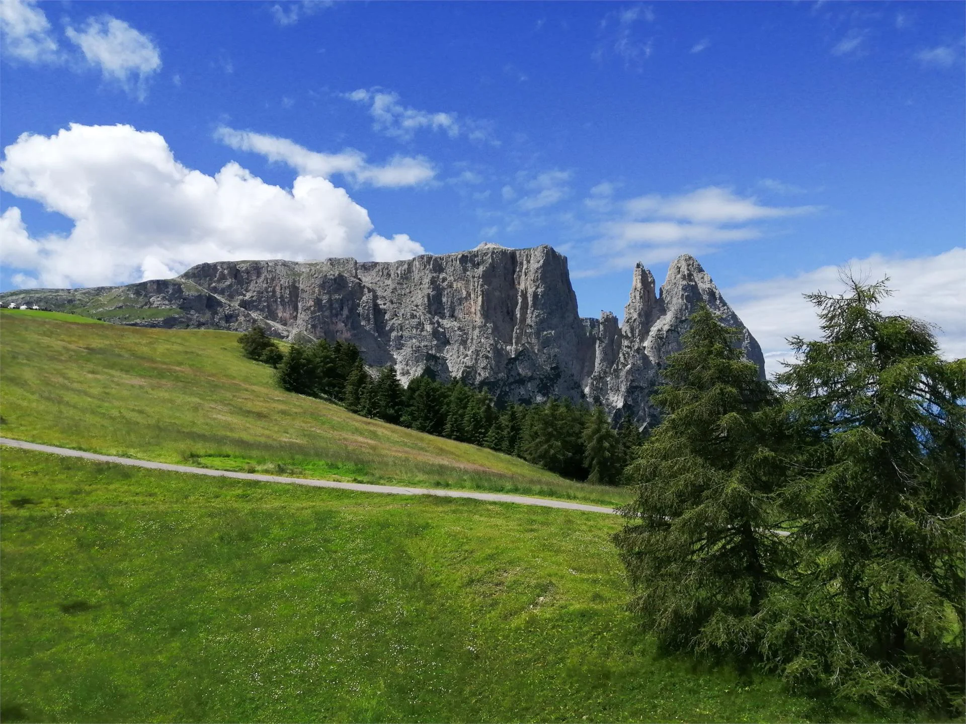 Maso Pschoyer Castelrotto 24 suedtirol.info