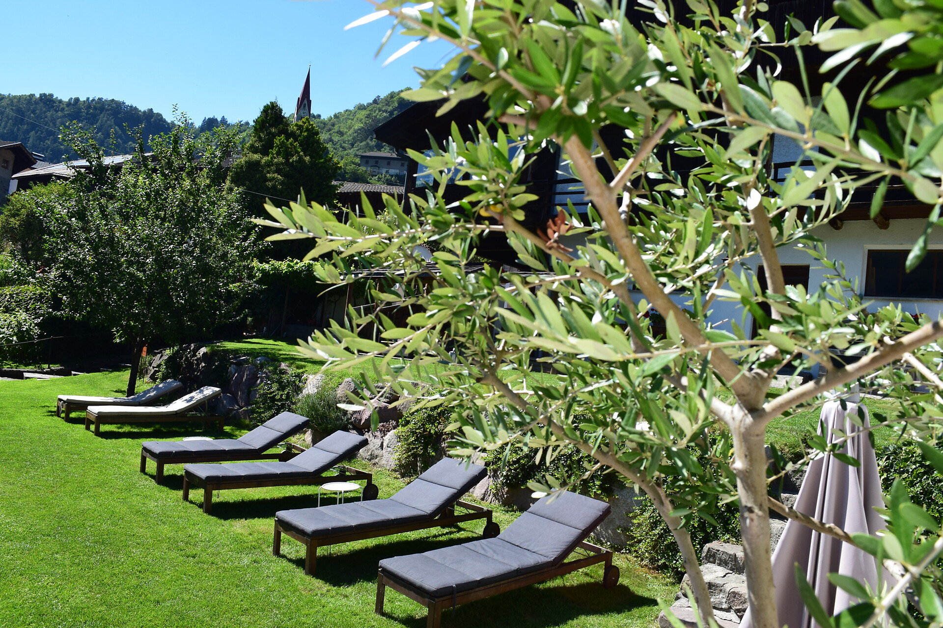 giardino