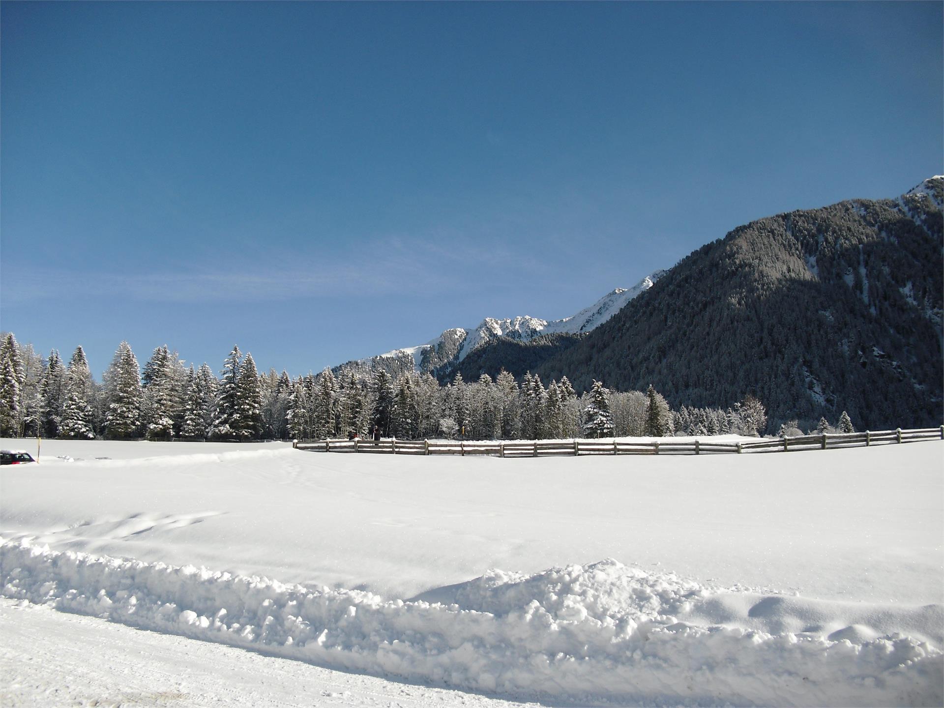 Pensione Brunner Rasun Anterselva 8 suedtirol.info