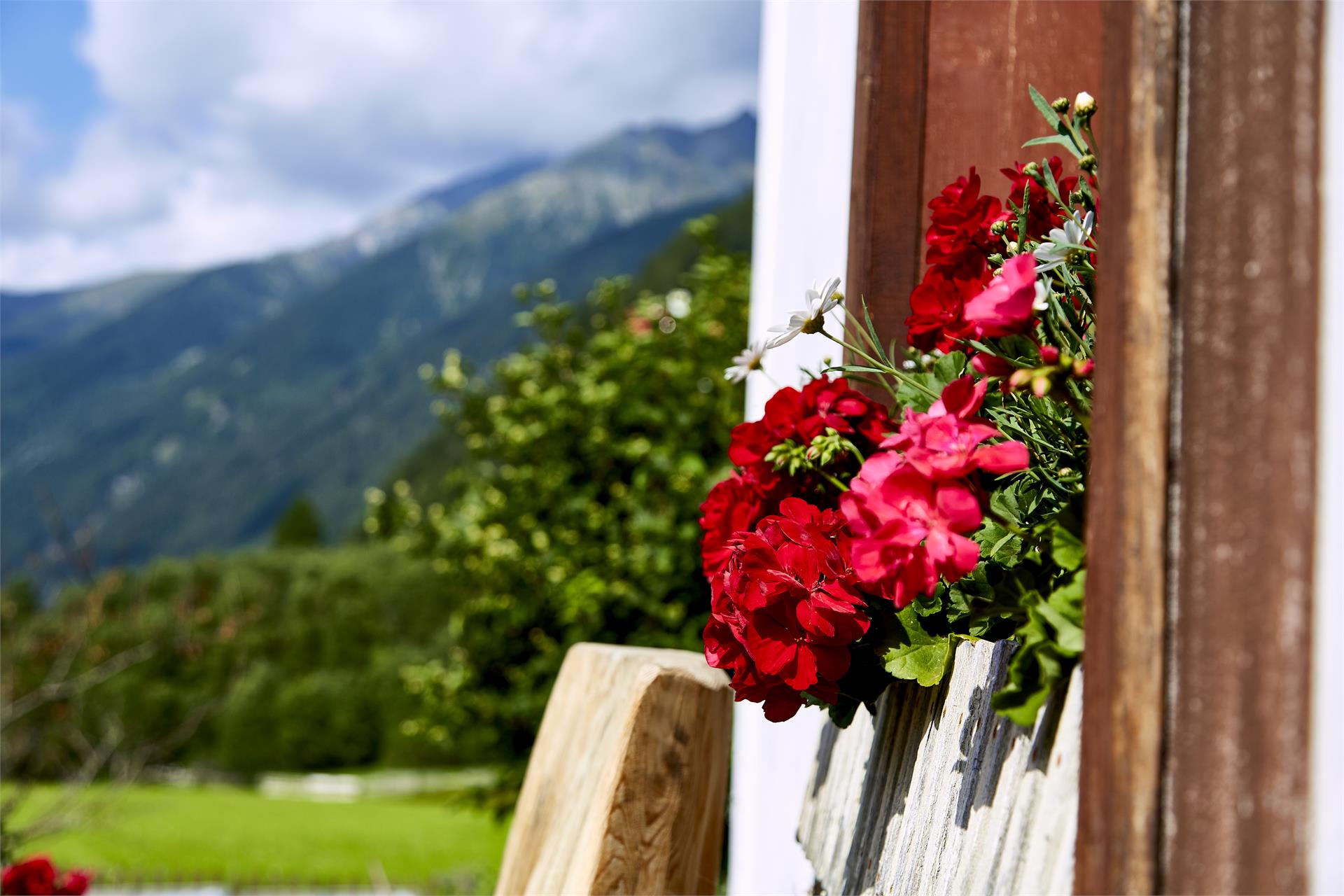 Pensione Brunner Rasun Anterselva 18 suedtirol.info