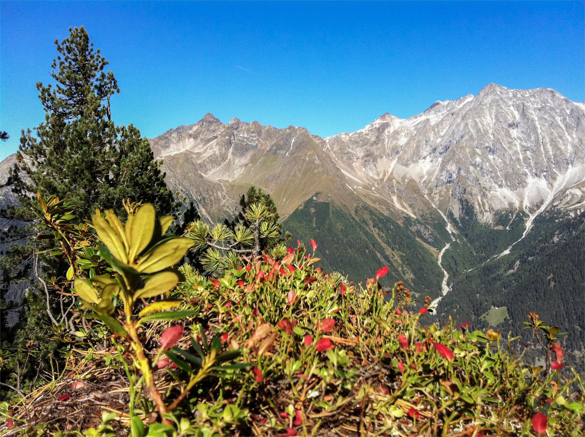 Pensione Brunner Rasun Anterselva 20 suedtirol.info