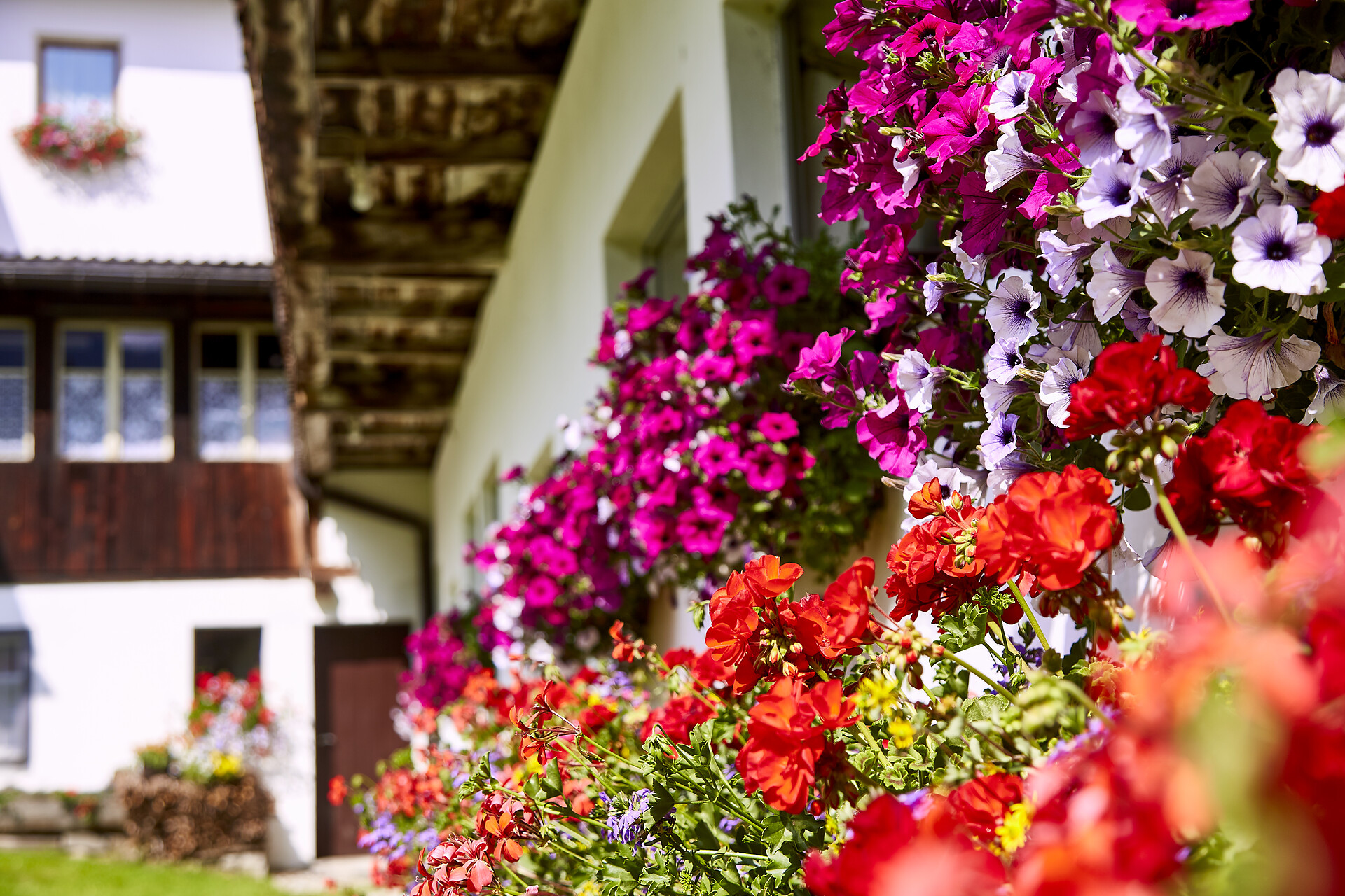 Apartments Hochbrunn | Pension Brunner Rasen-Antholz 14 suedtirol.info