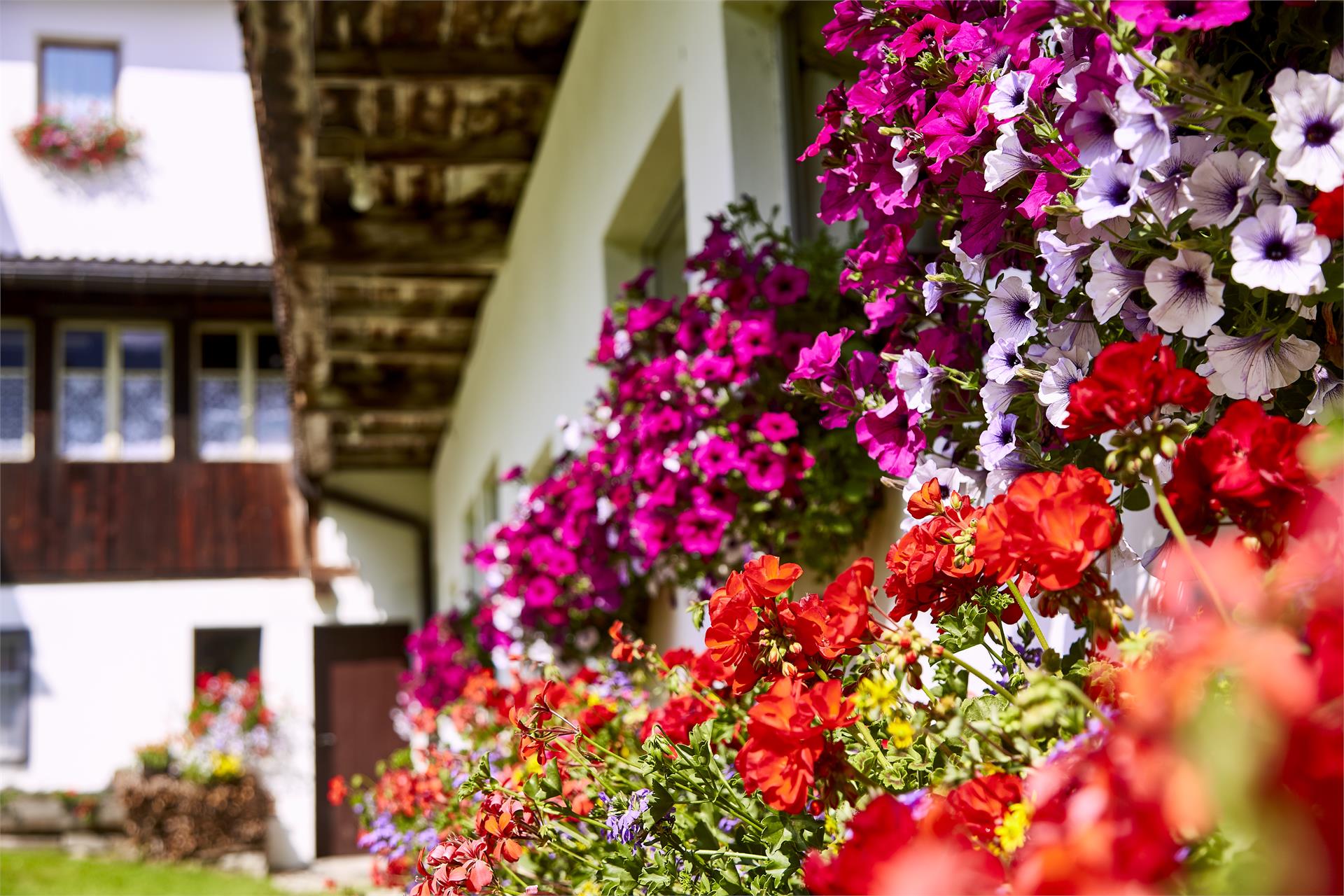 Pensione Brunner Rasun Anterselva 14 suedtirol.info