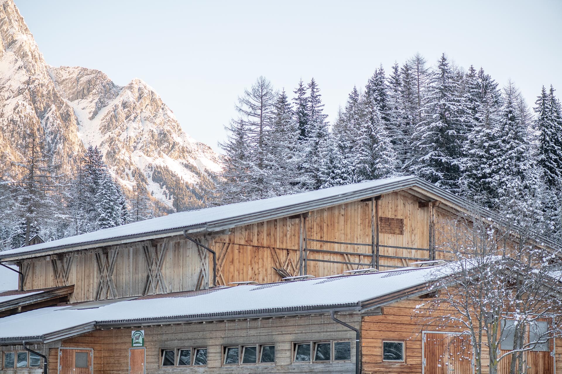 Pensione Brunner Rasun Anterselva 6 suedtirol.info